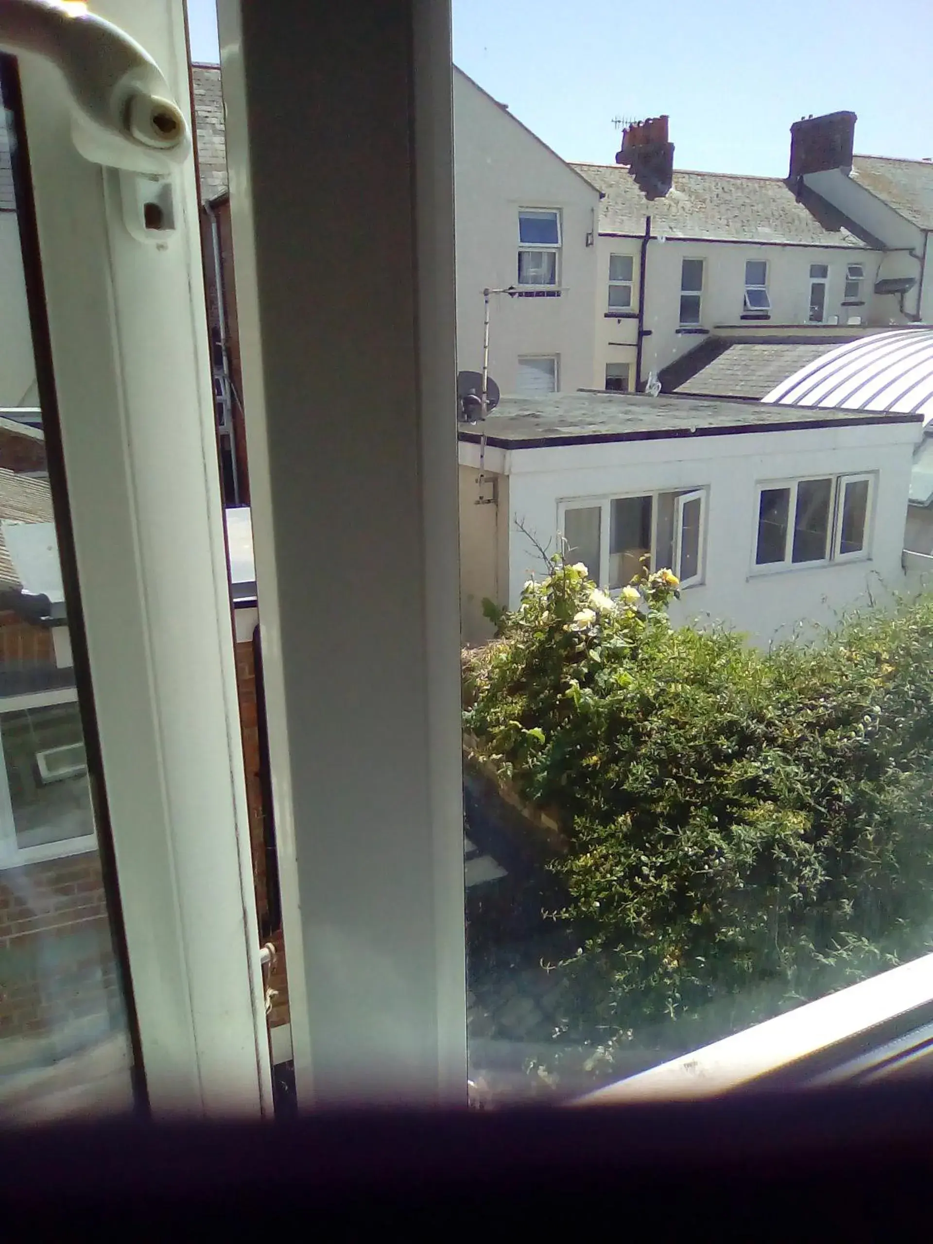 Garden view in The Wilton Weymouth Garden view in The Wilton Weymouth