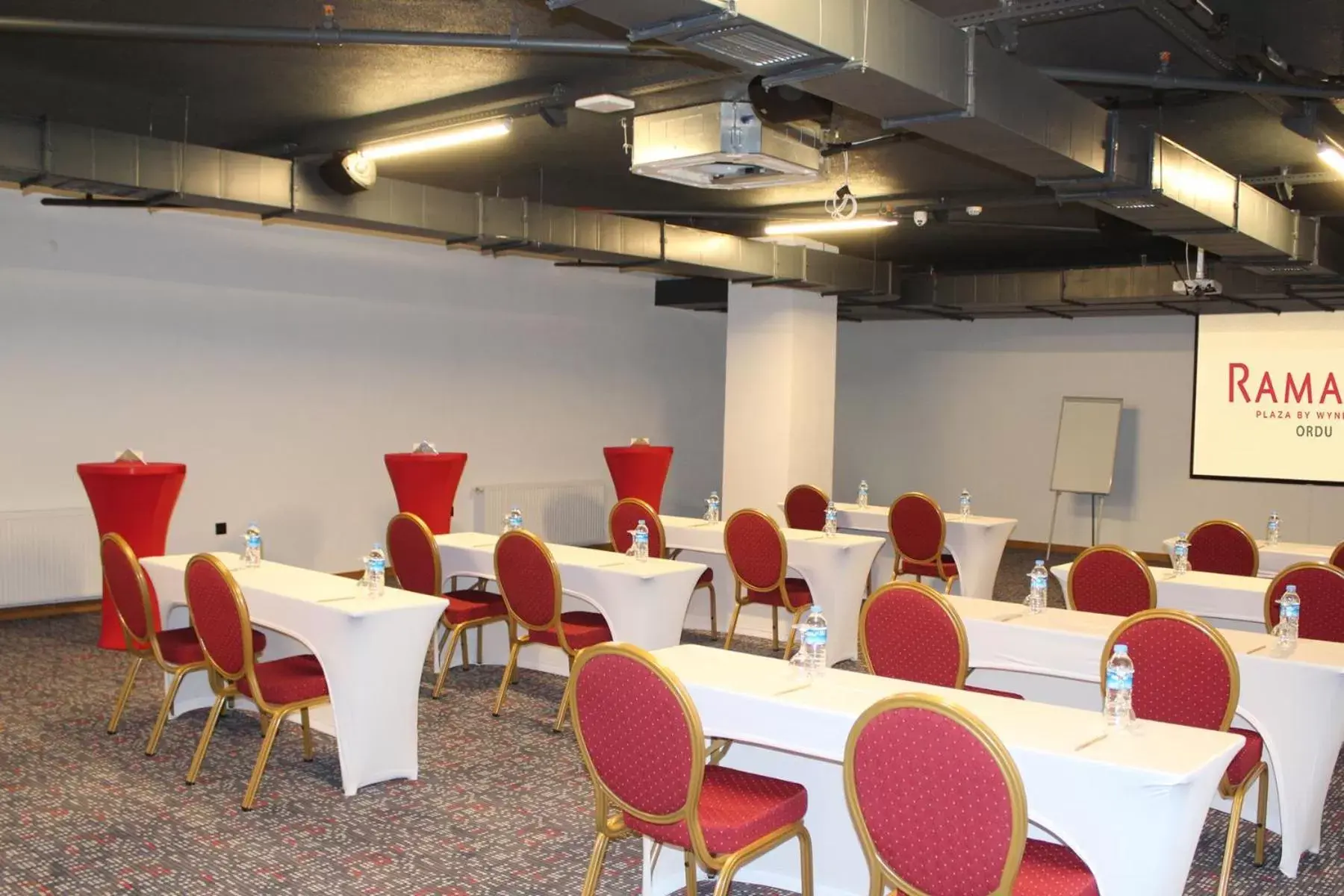 Meeting/conference room in Ramada Plaza by Wyndham Ordu