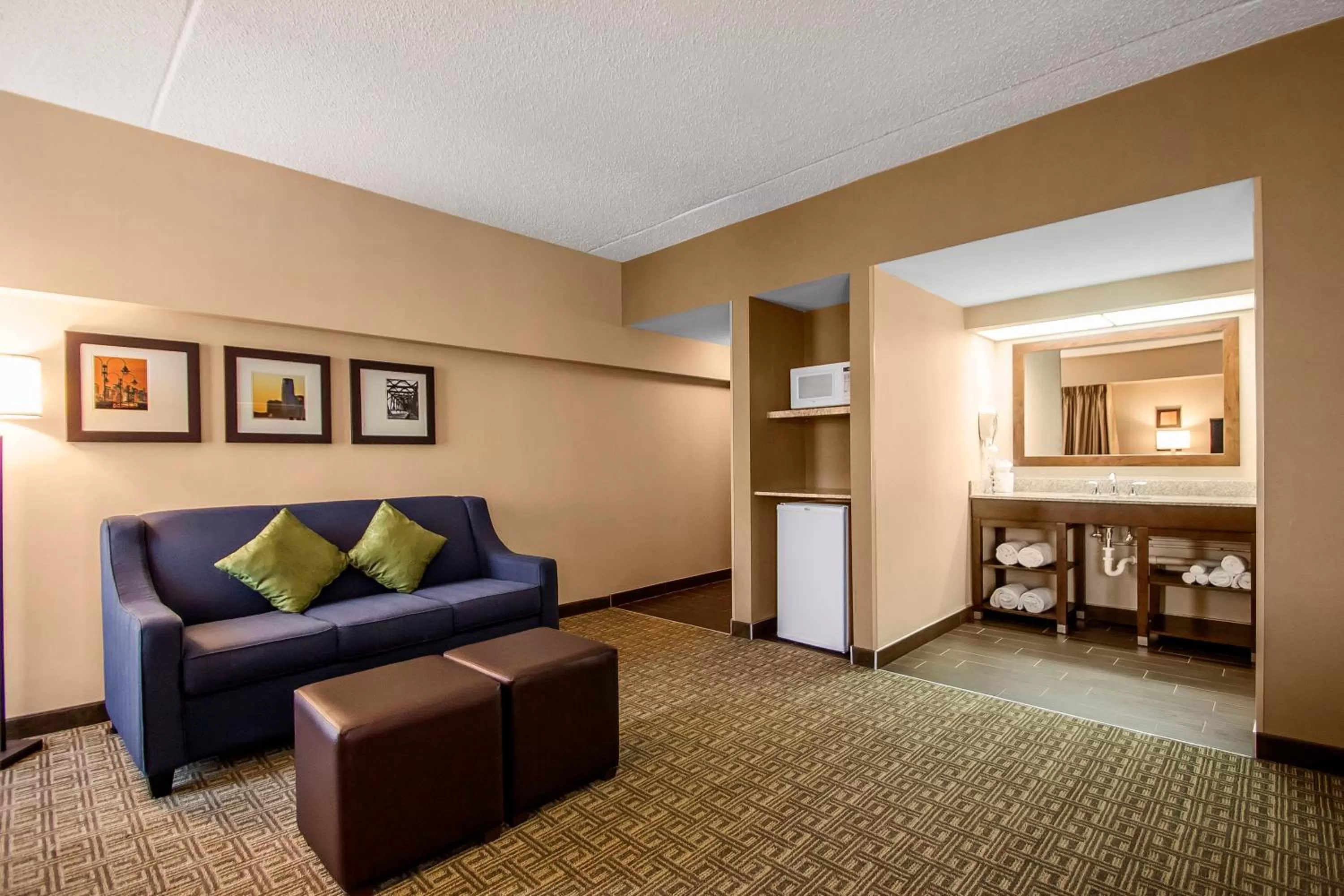 Living room in Comfort Suites at Woodbridge