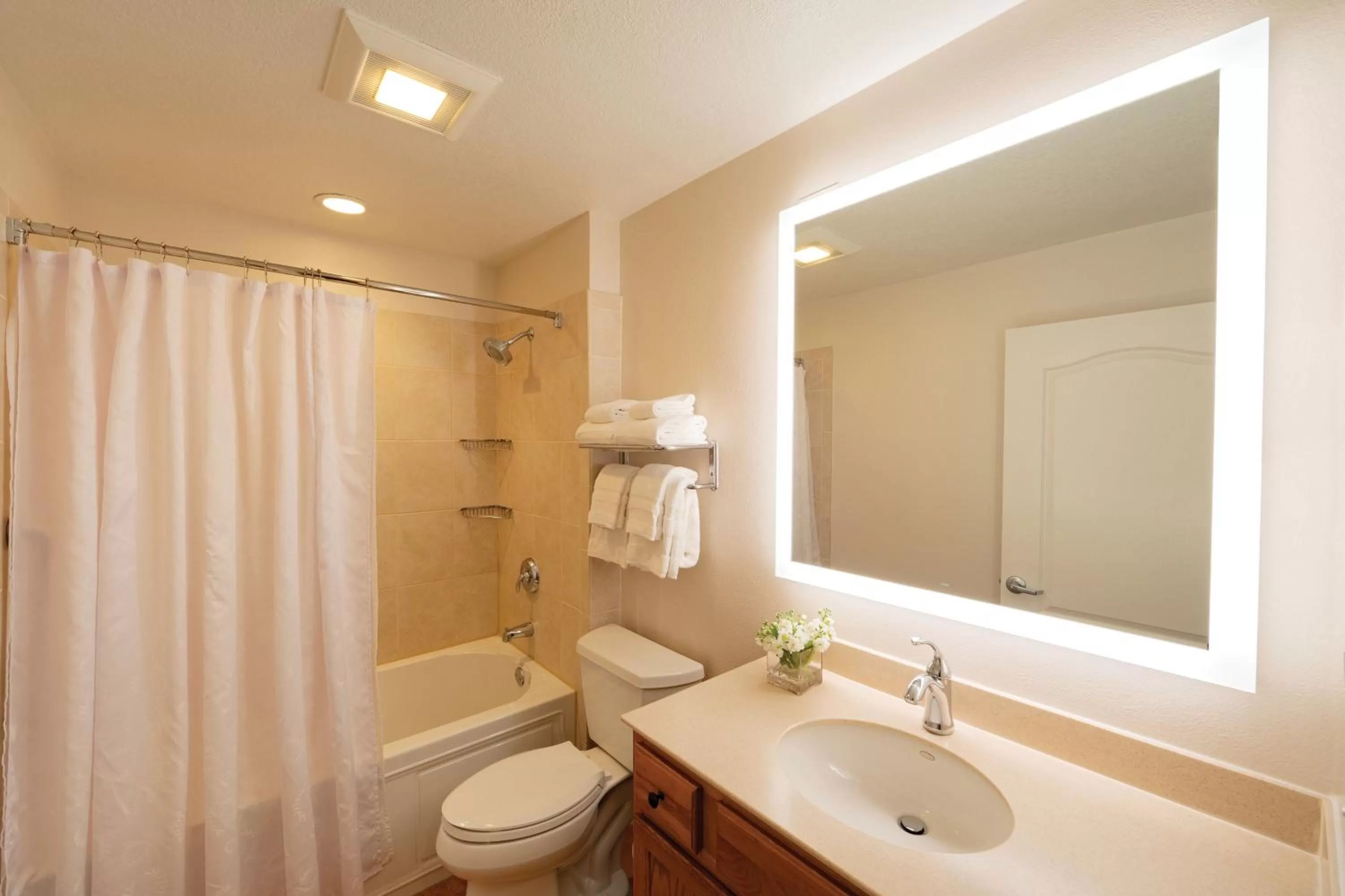 Bathroom in Sheraton Vistana Villages Resort Villas, I-Drive Orlando