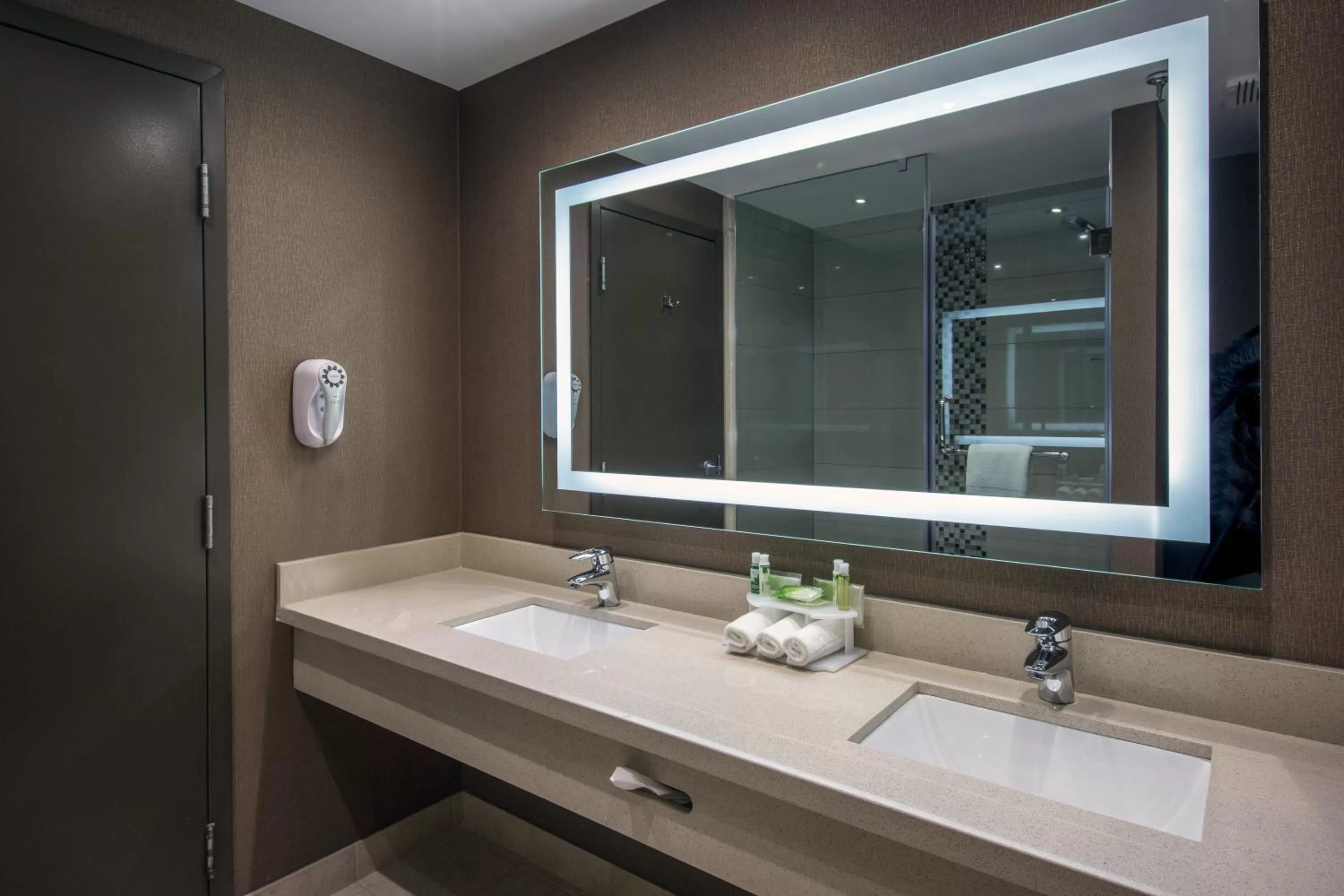 Bathroom in Quality Inn & Suites Regina Downtown