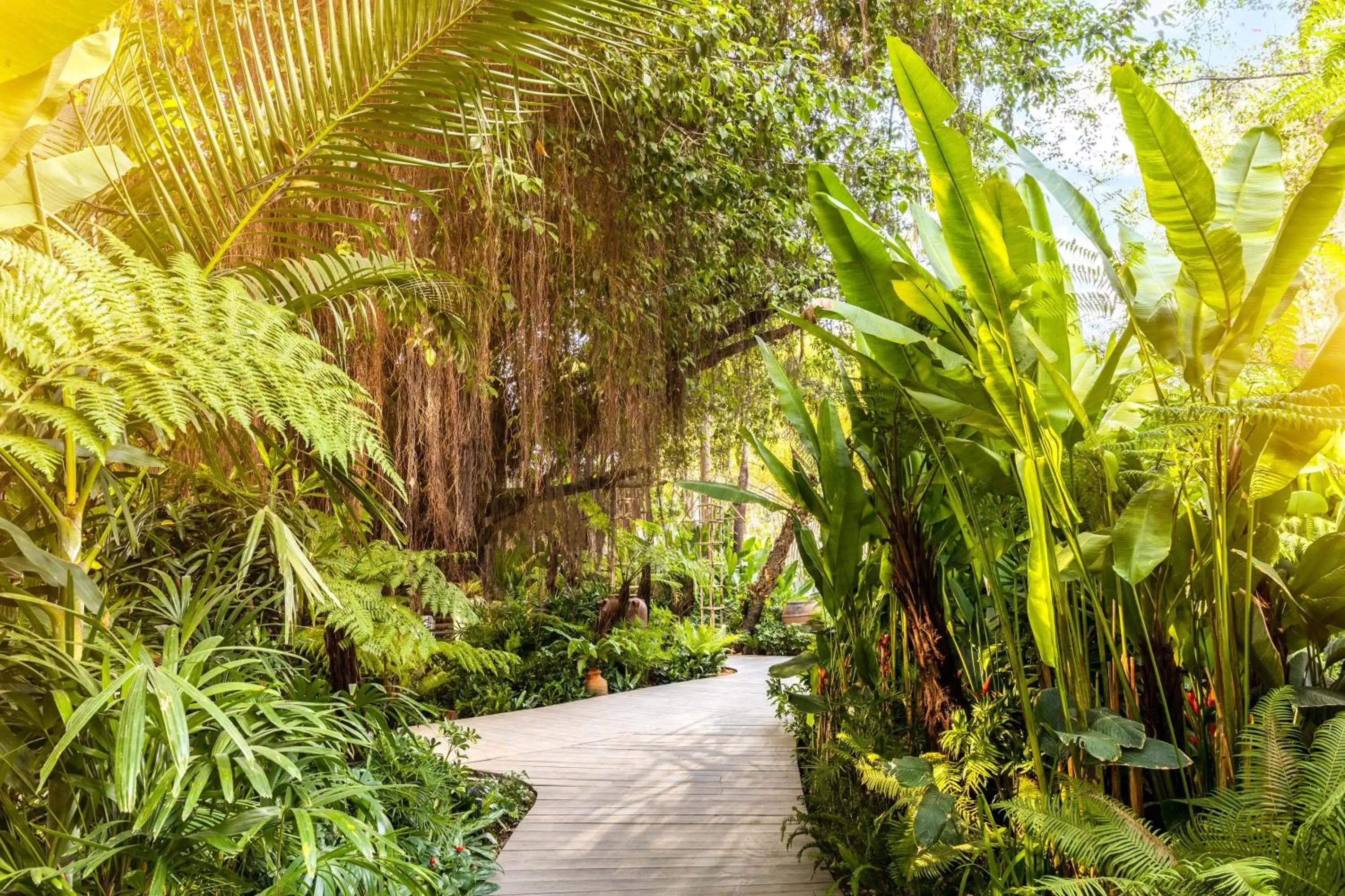 Natural landscape in An Lam Retreats Saigon River