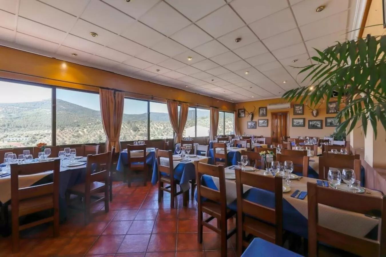 Restaurant/places to eat in Hostal Alfonso XI