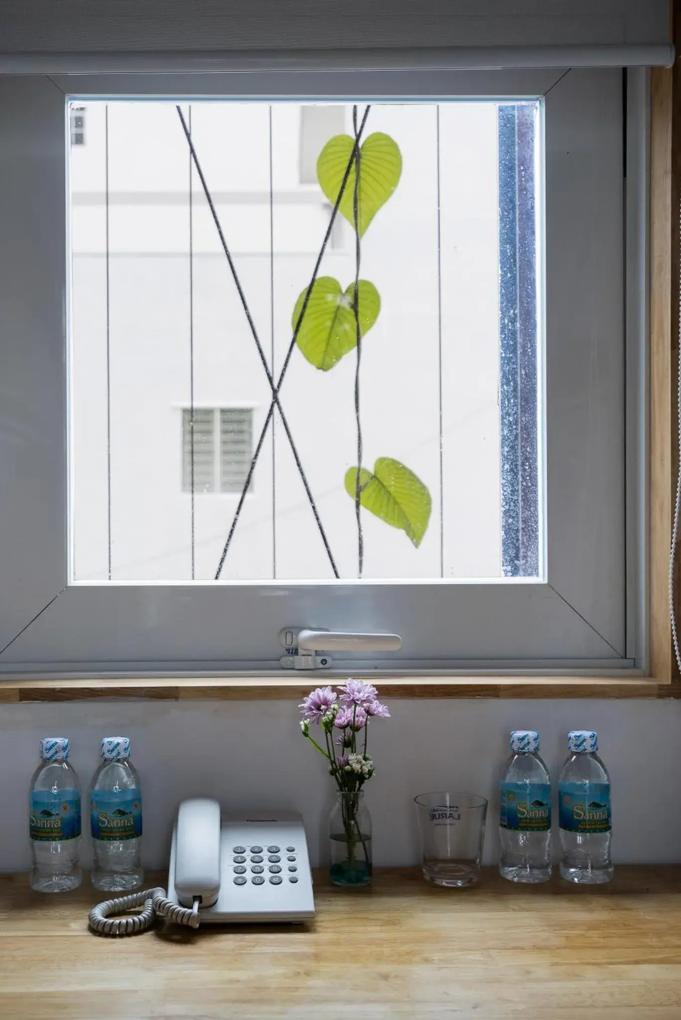 Garden view in Ccasa Hostel Garden view in Ccasa Hostel