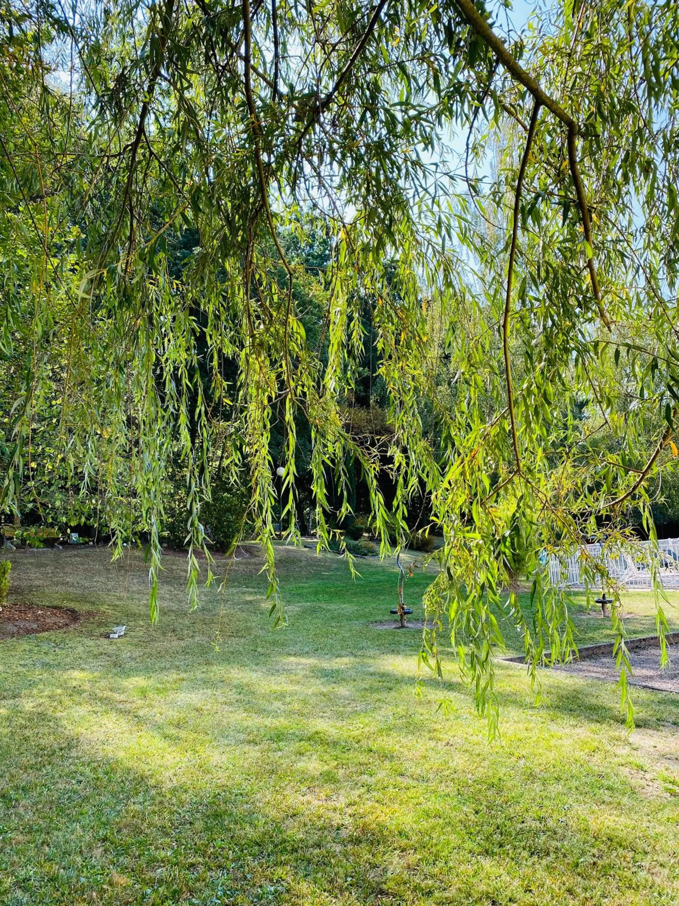 Natural landscape in Novotel Saint Avold