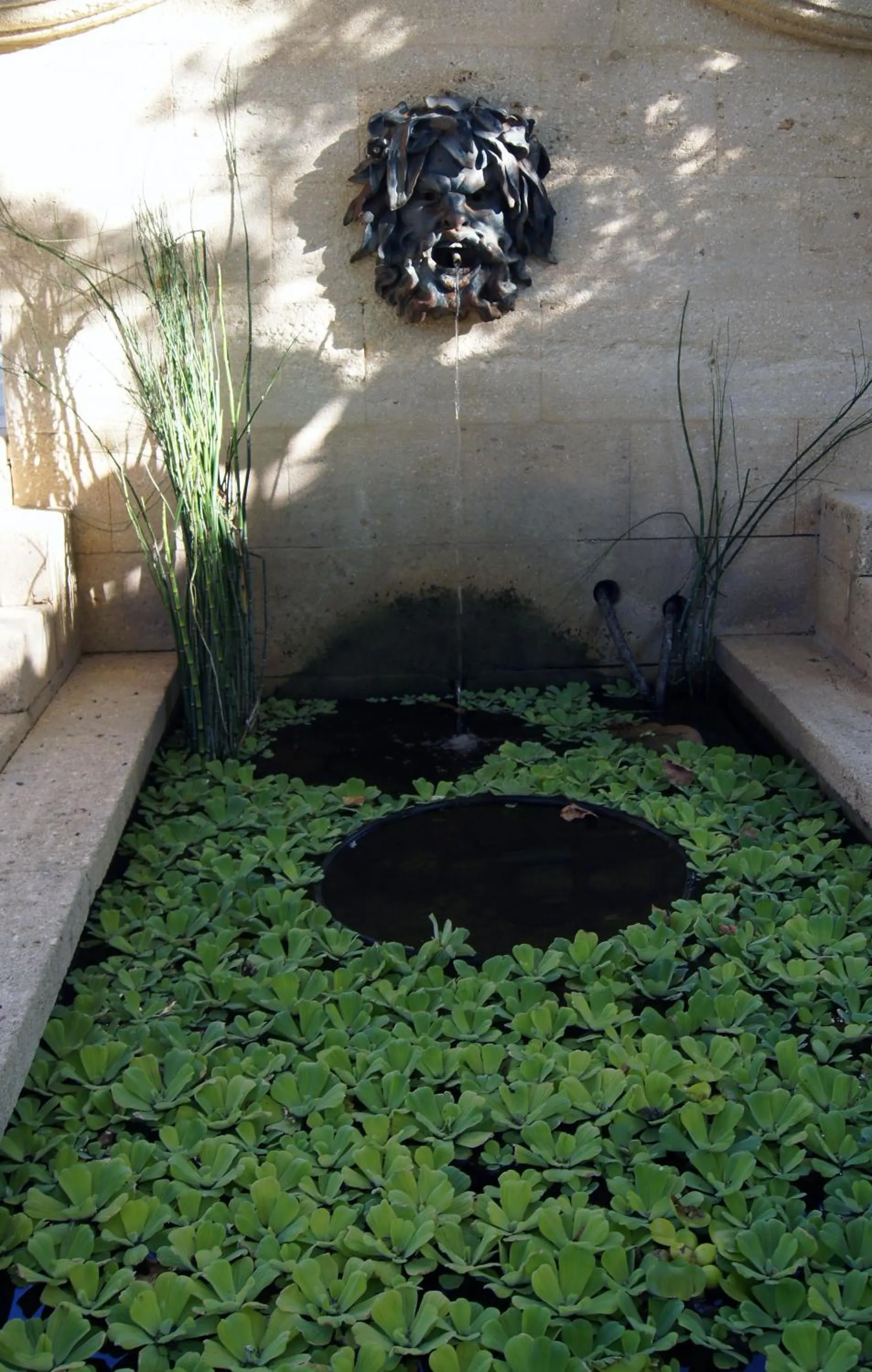 Garden view in La Villa Mazarin