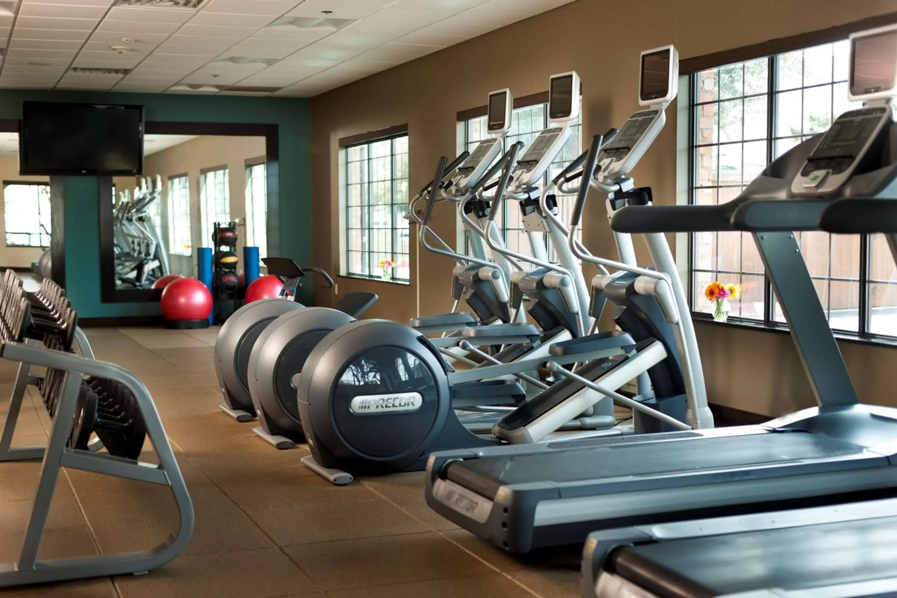 Fitness centre/facilities, Fitness Center/Facilities in Embassy Suites Lubbock