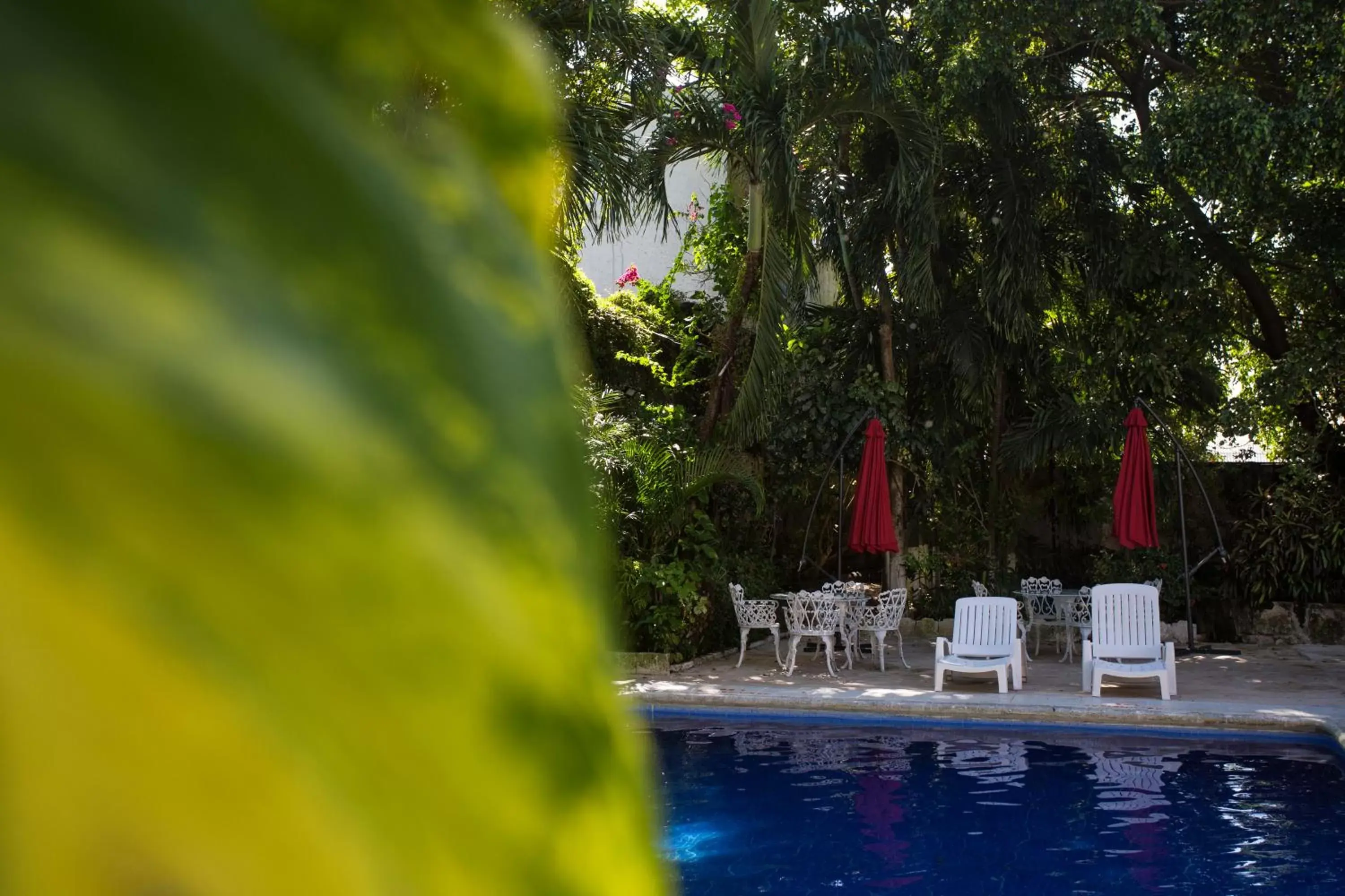 Garden, Swimming Pool in Hotel Xbalamqué & Spa Cancún Centro
