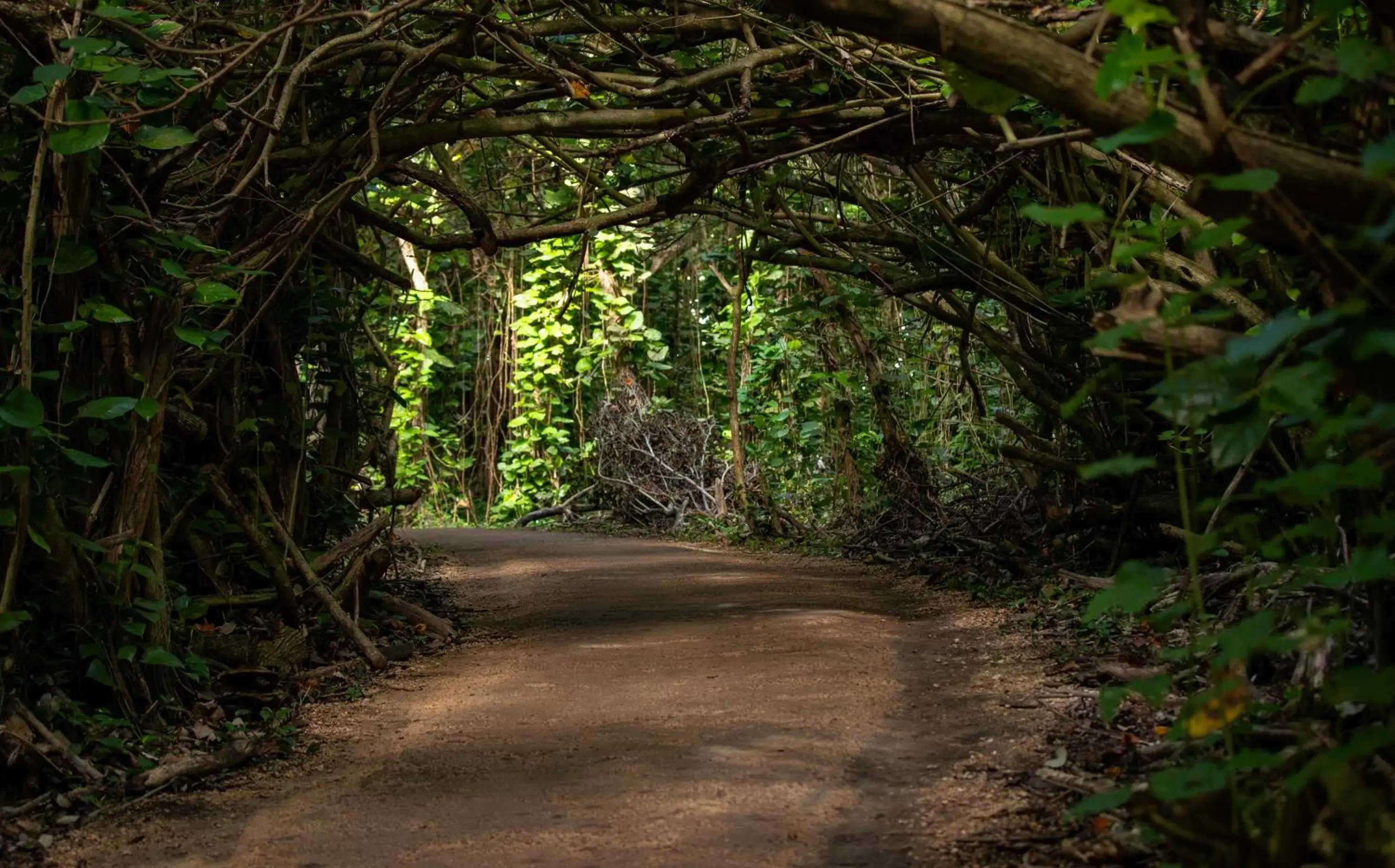 Natural Landscape in Hanalei Colony Resort