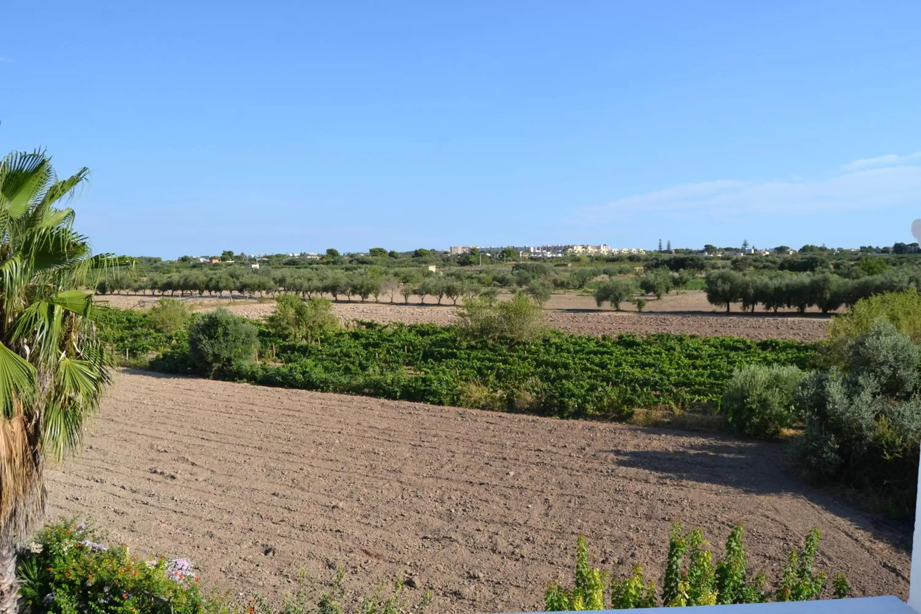 Natural landscape, Neighborhood in Bed and Breakfast Sun Wine