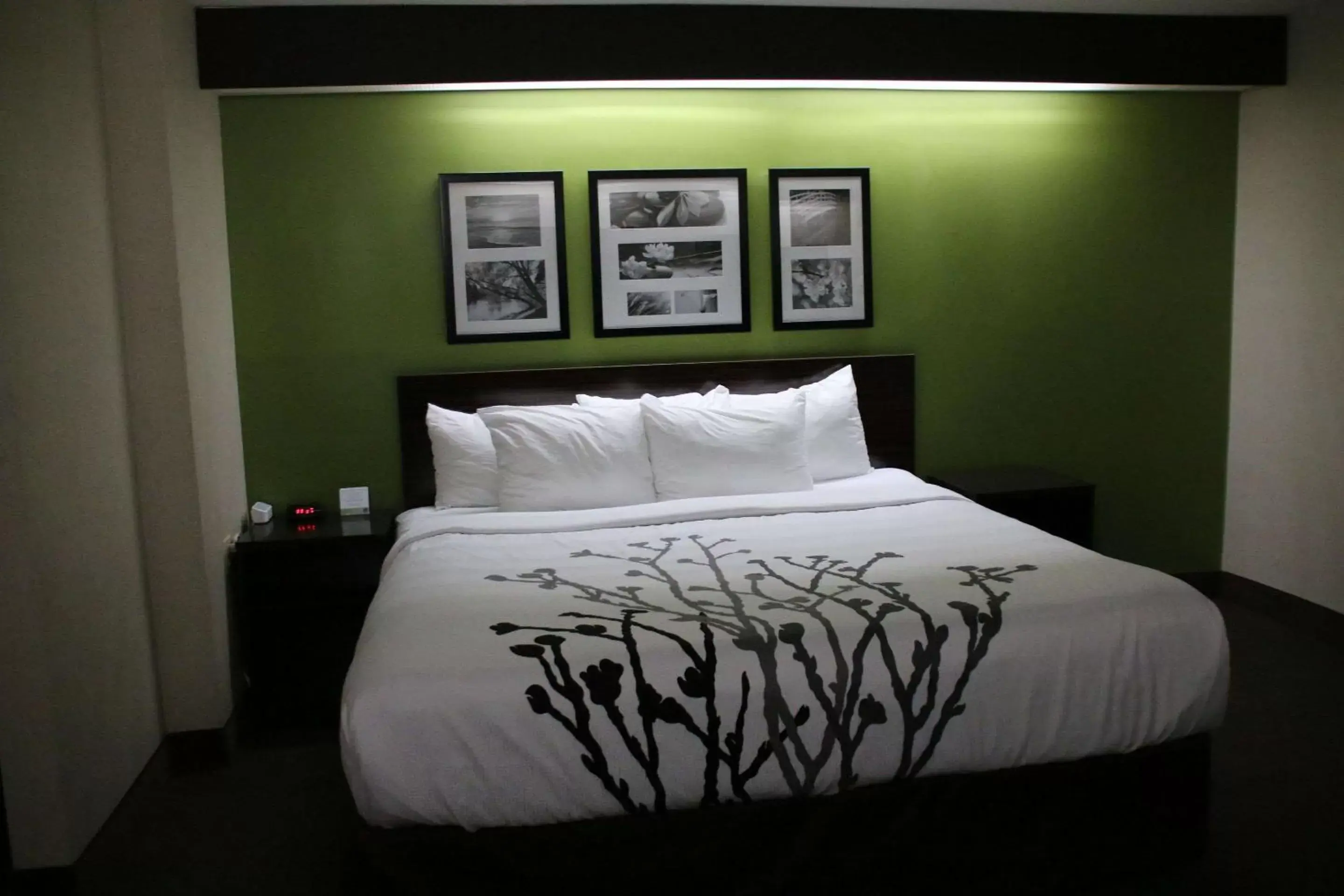 Photo of the whole room, Bed in Sleep Inn near Great Lakes Naval Base