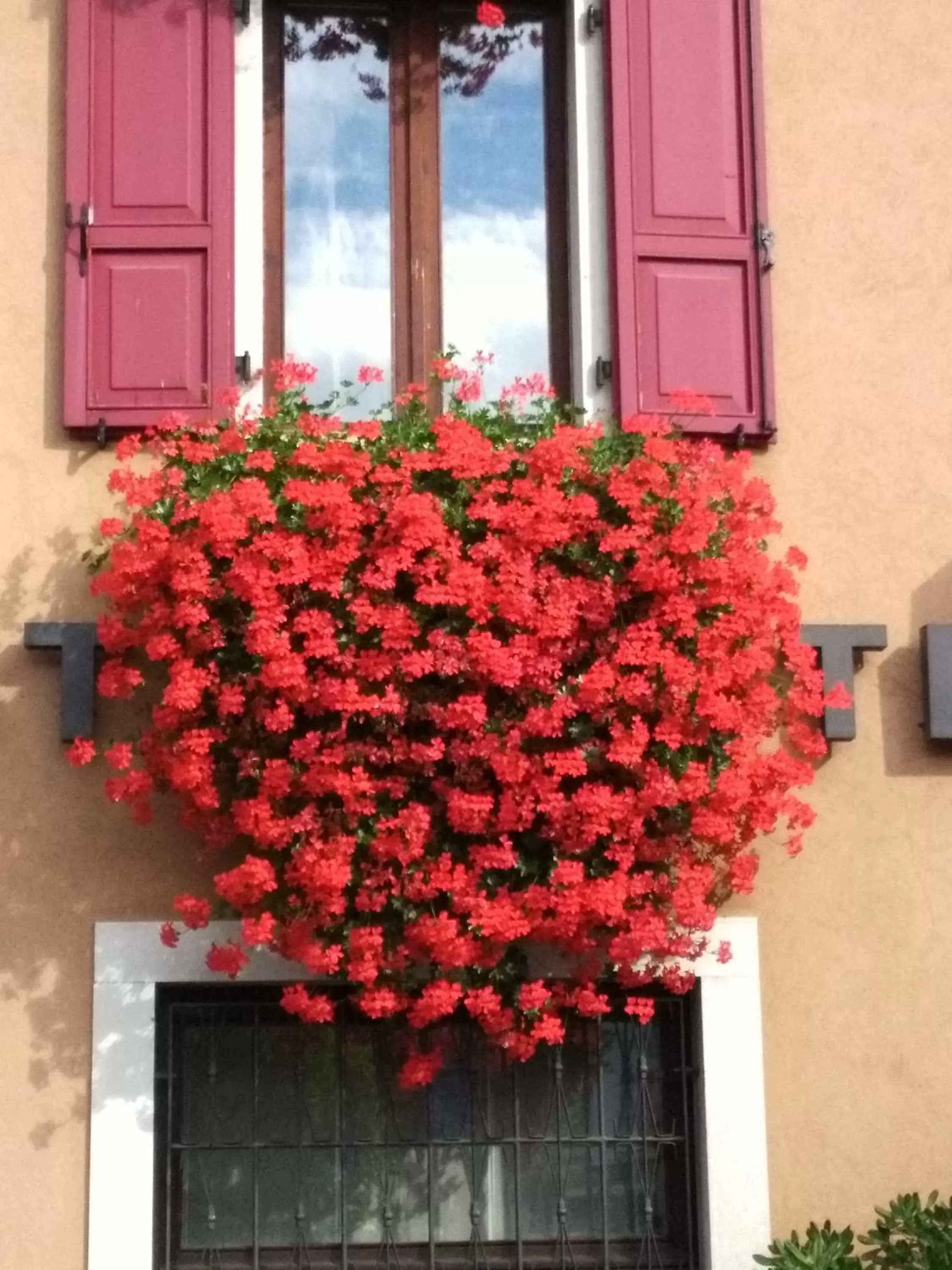 Spring, Facade/Entrance in Hotel San Giorgio