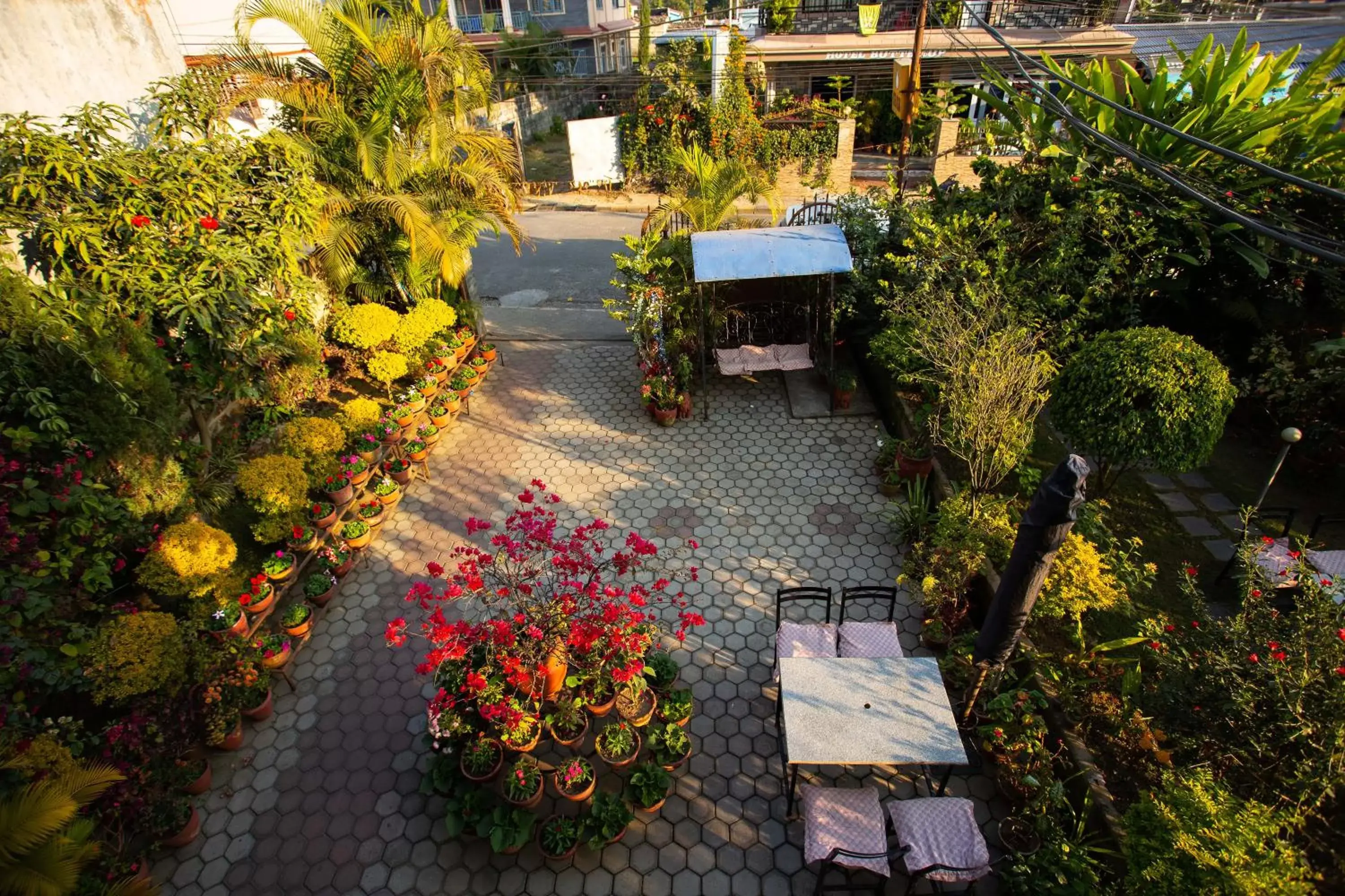 Patio in Hotel Orchid