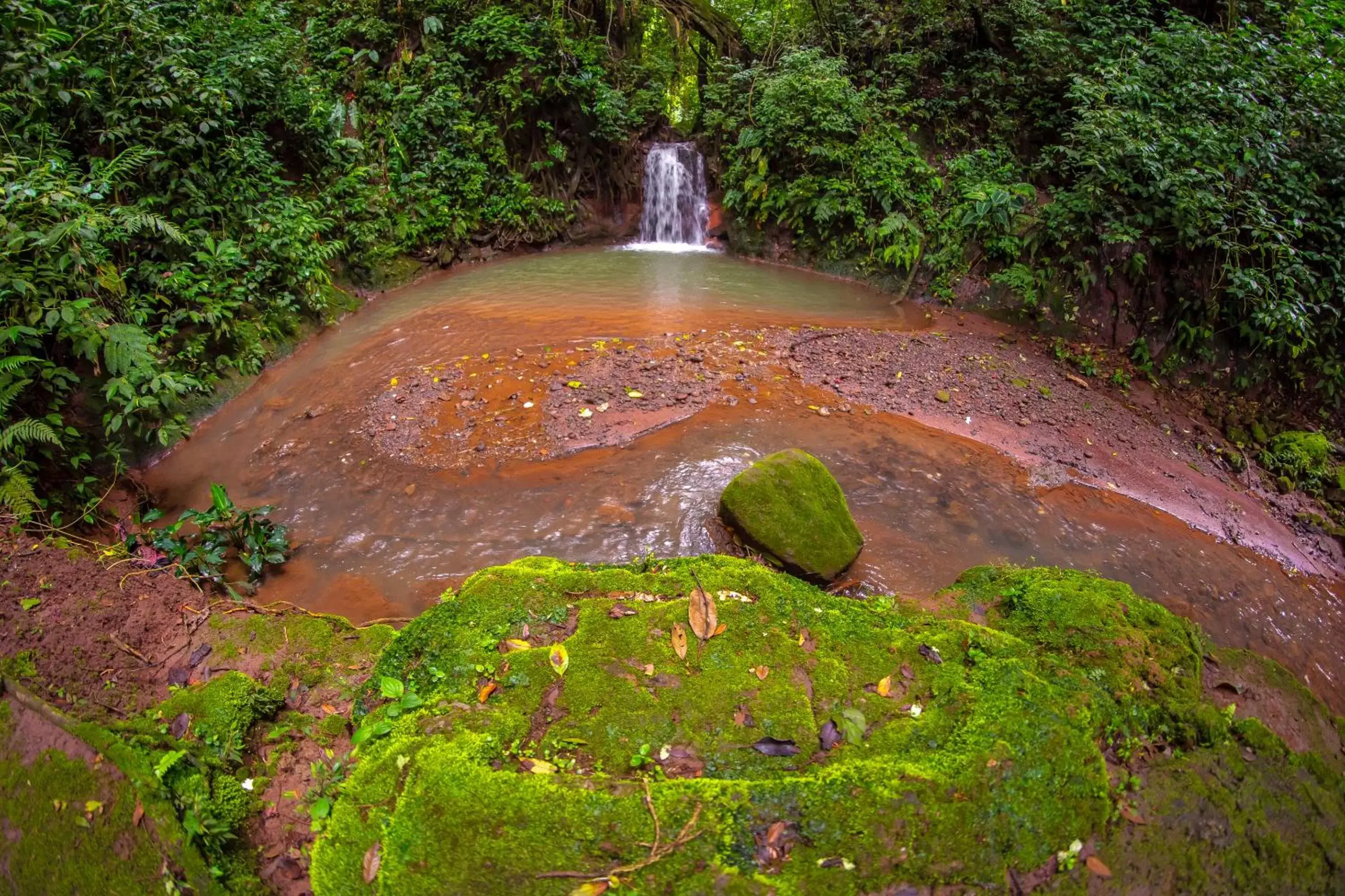 Natural landscape in Xandari Resort & Spa