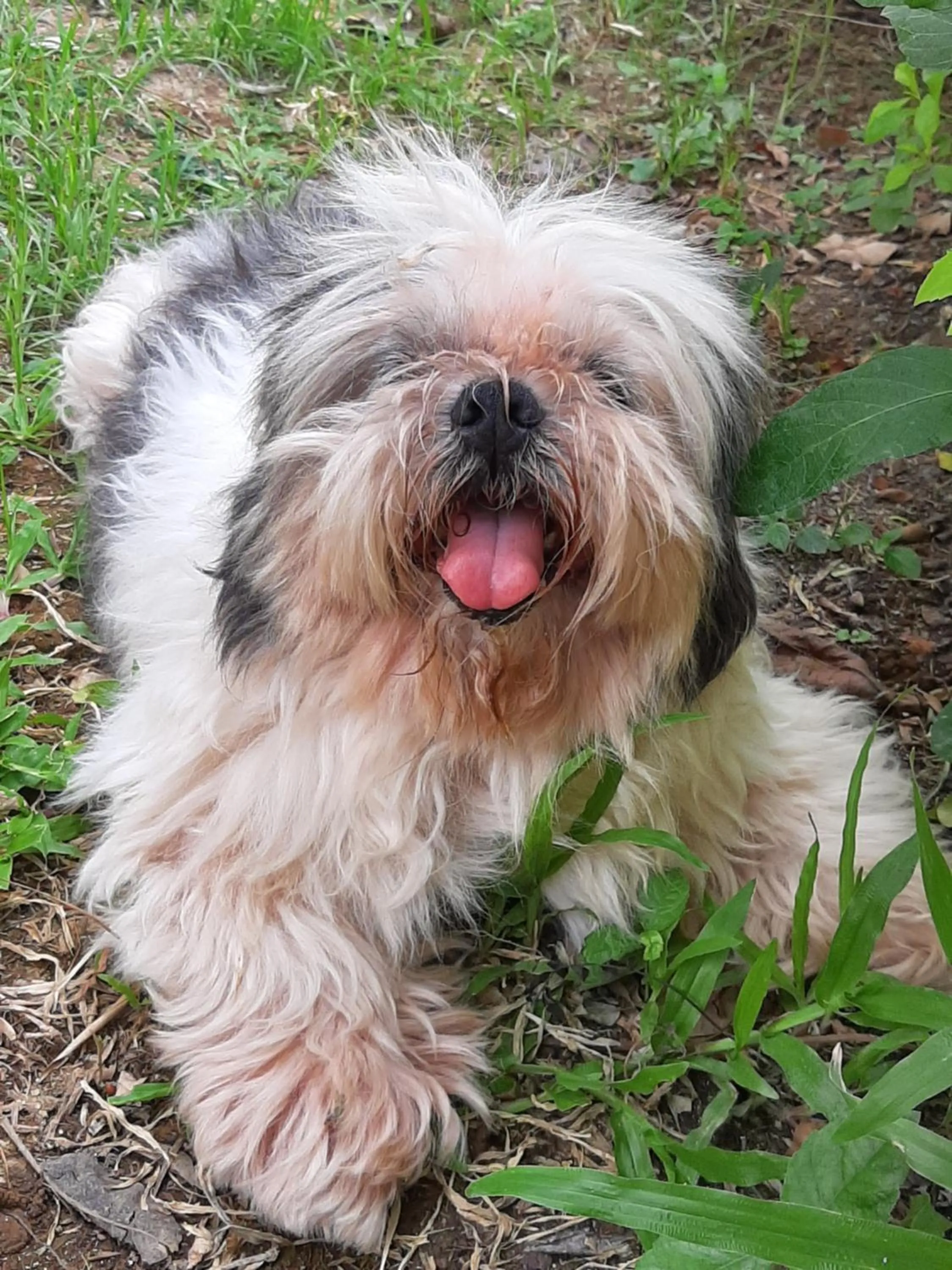 Vanlisut Hotel Ngamwongwan