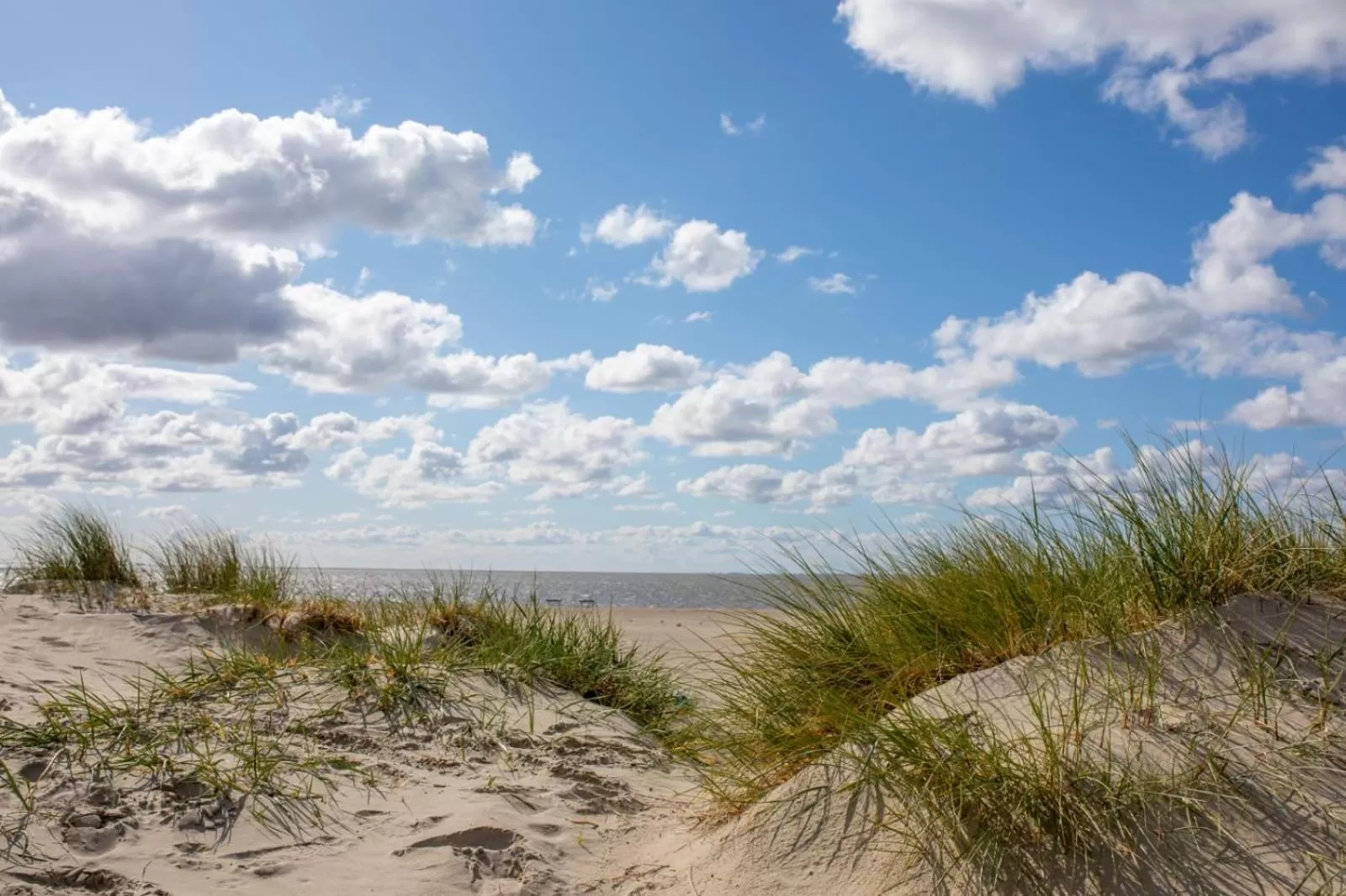 Natural landscape in Hotel Pension Nordseewelle