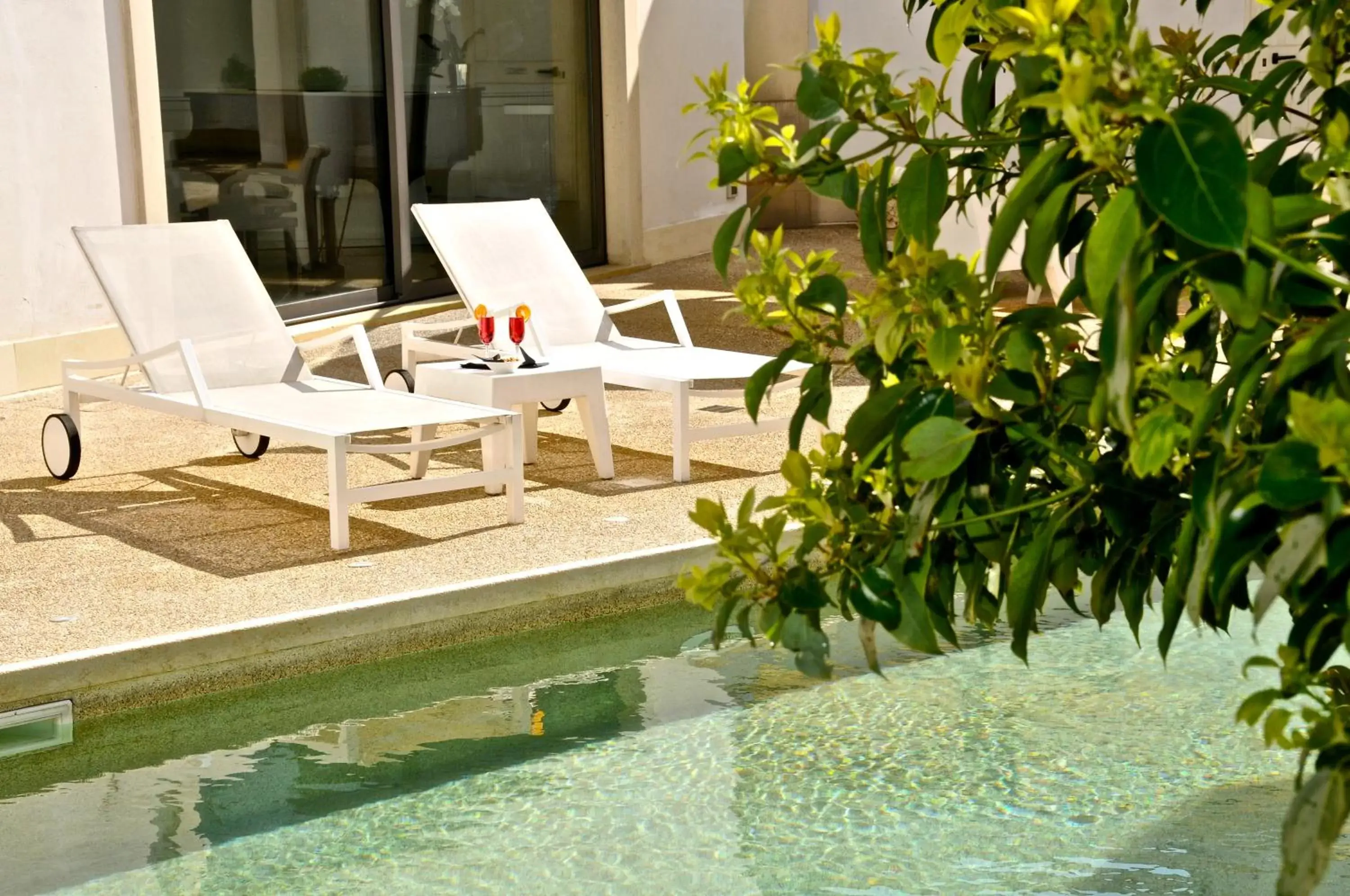 Garden, Swimming Pool in Hotel Del Conte