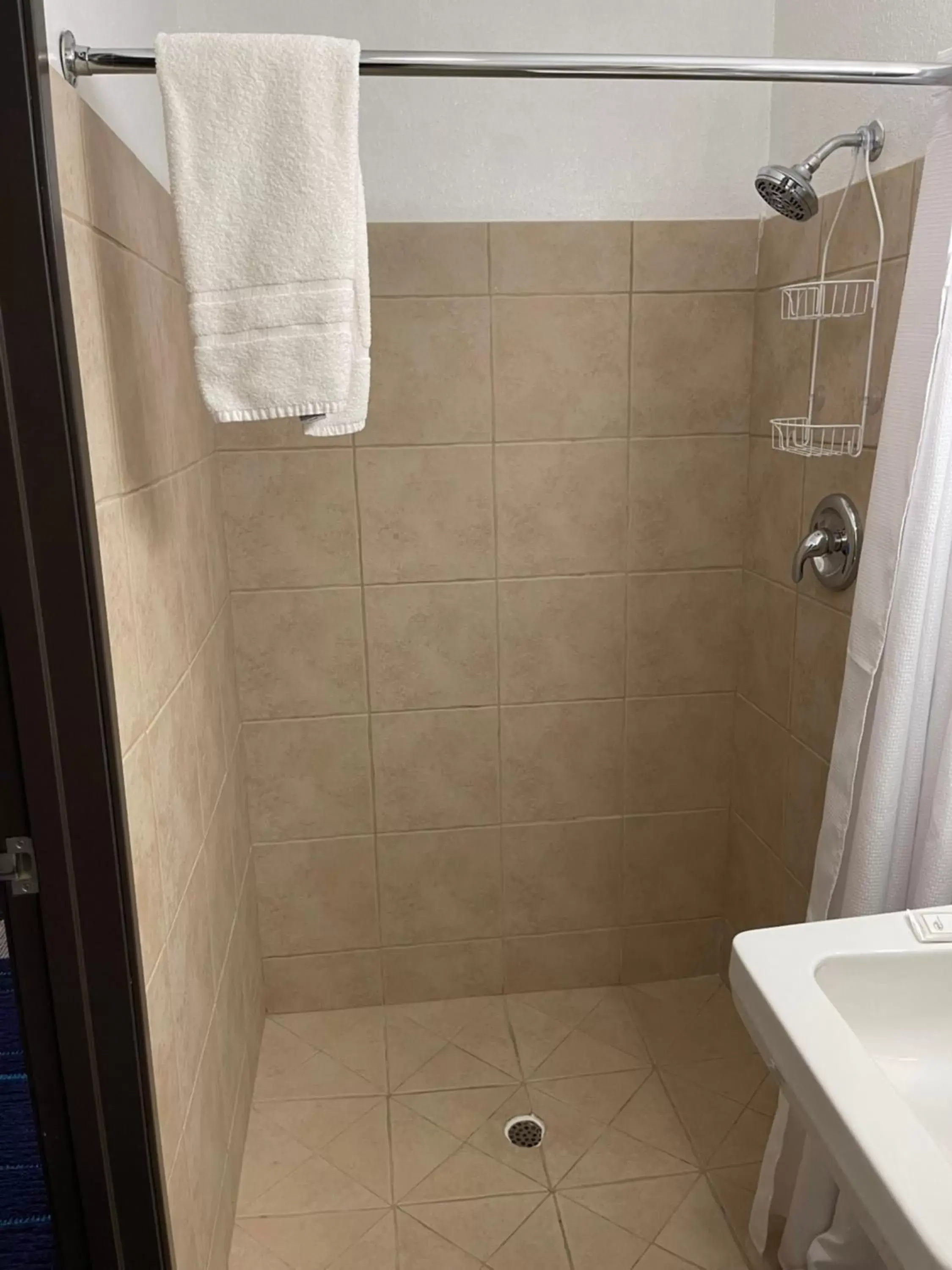 Shower, Bathroom in Walker Hotel