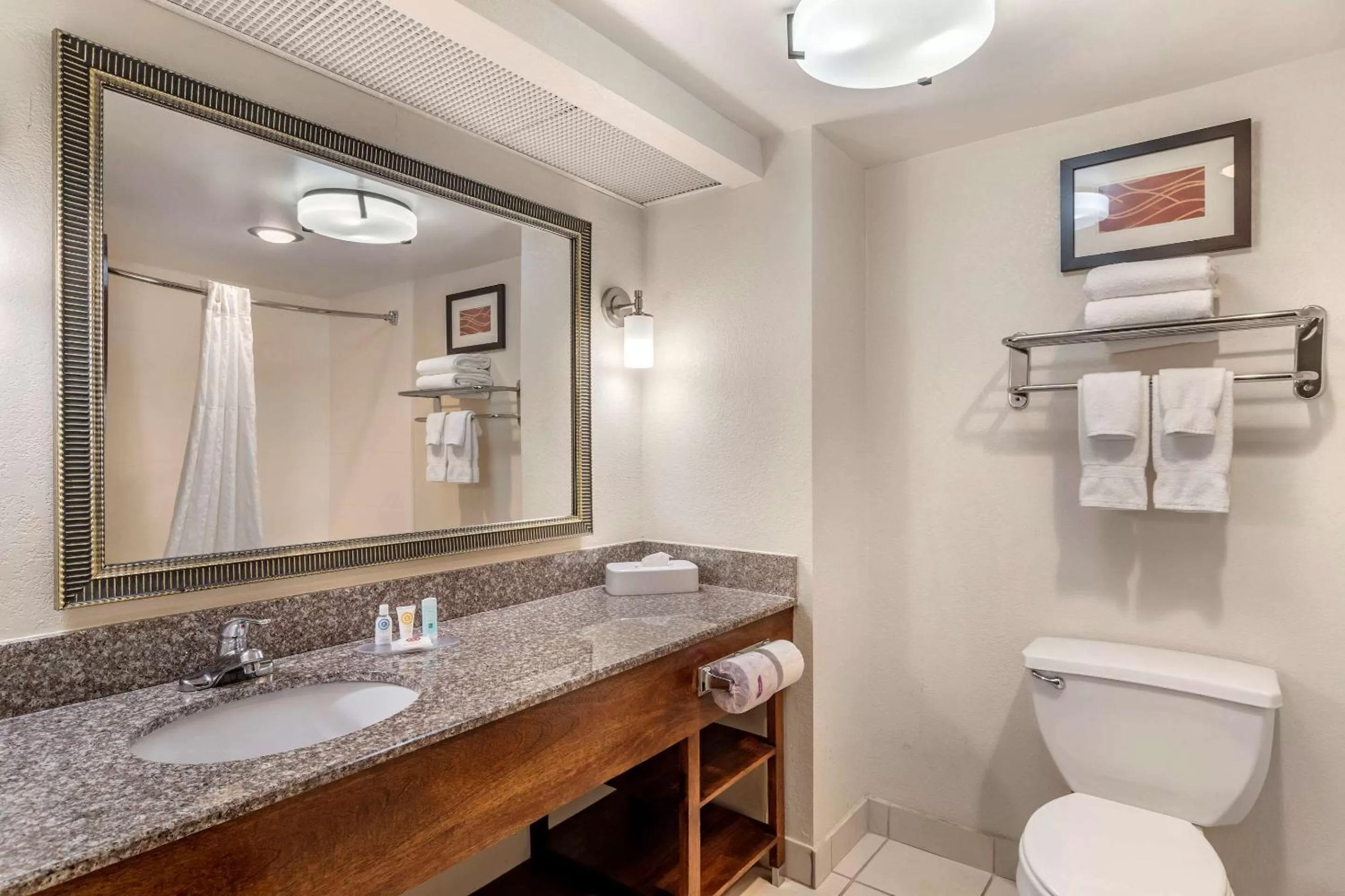 Photo of the whole room in Comfort Inn & Suites Athens North