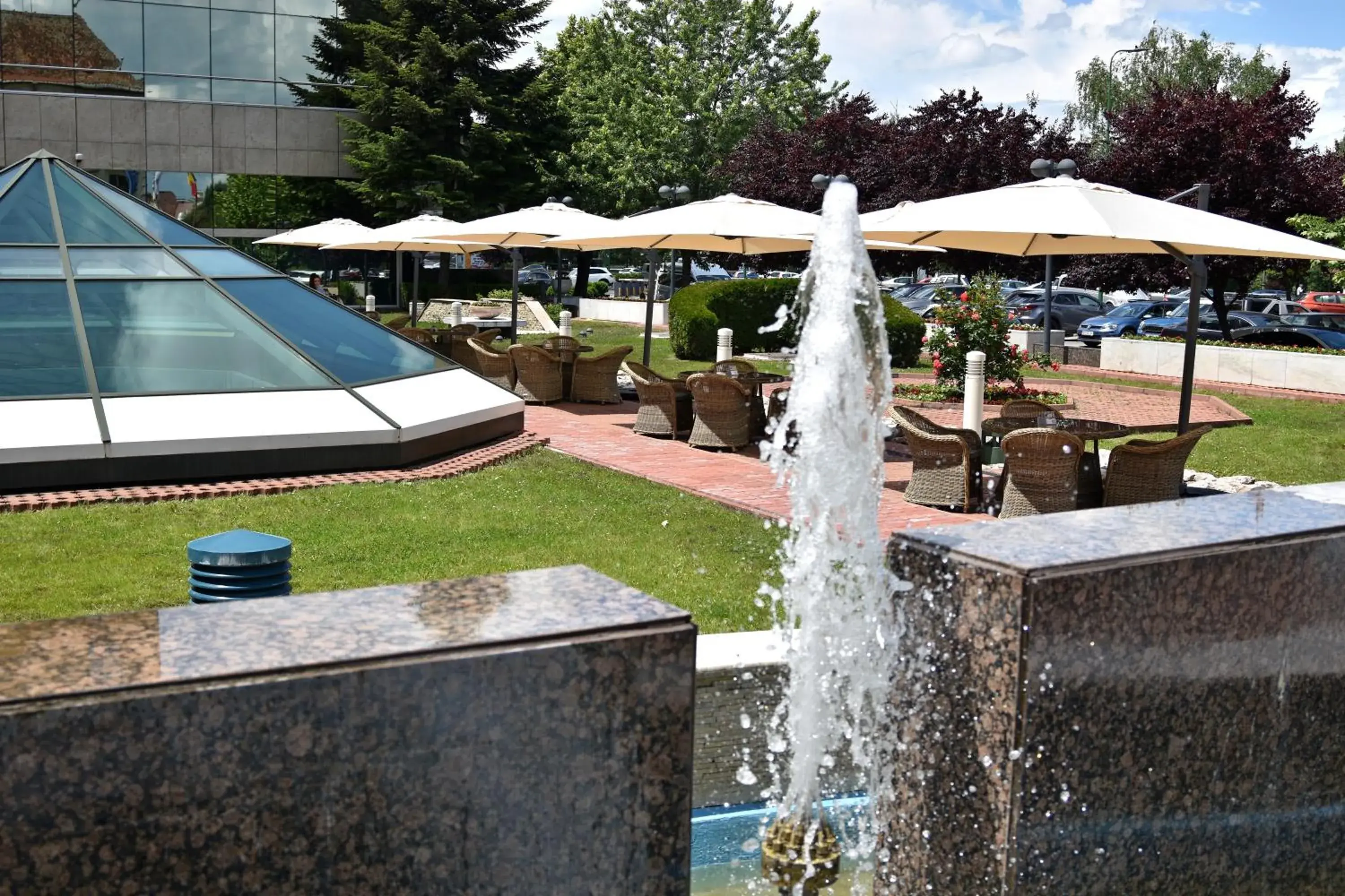 Garden in Hotel Aro Palace