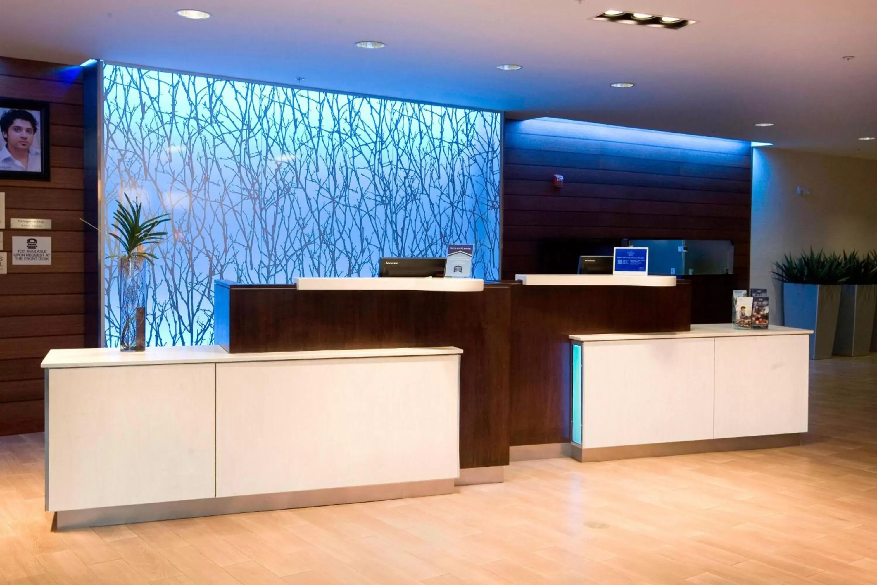 Lobby or reception, Lobby/Reception in Fairfield Inn & Suites by Marriott Chesapeake Suffolk