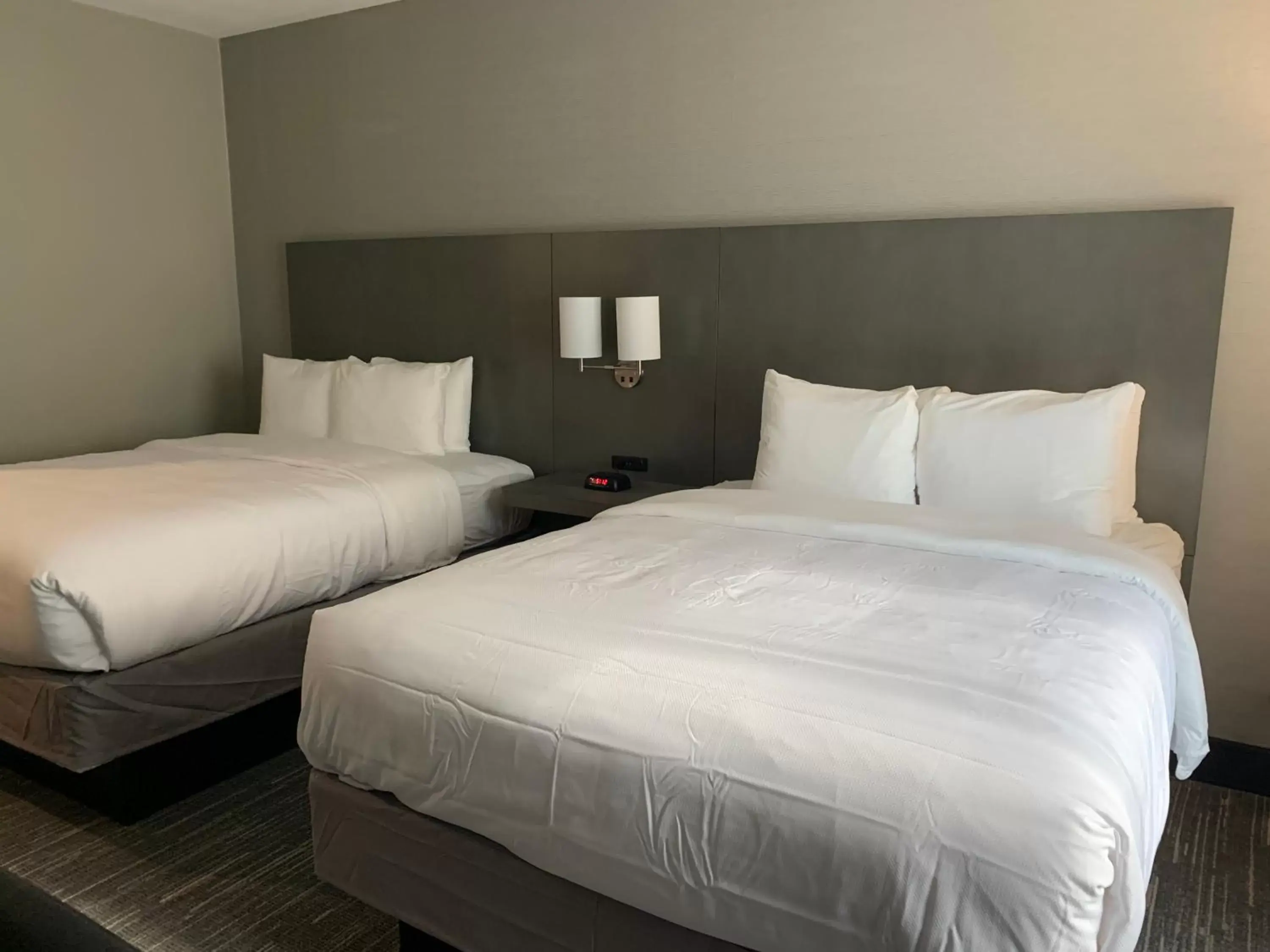 Standard Queen Room with Two Queen Beds - Non-Smoking in Comfort Inn & Suites