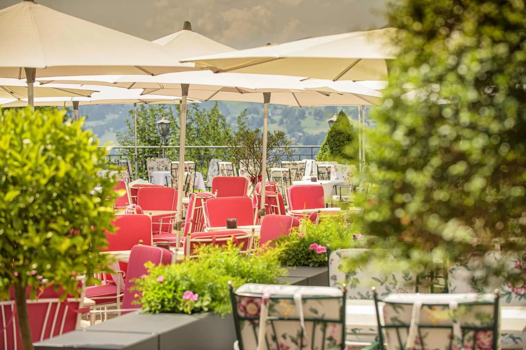 Balcony/Terrace in Alpines Lifestyle Hotel Tannenhof