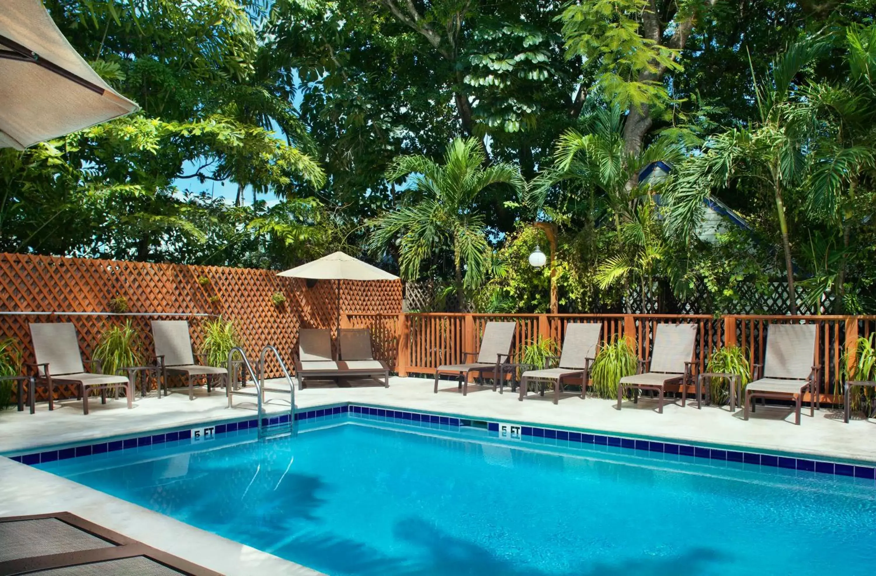 Swimming Pool in Island City House