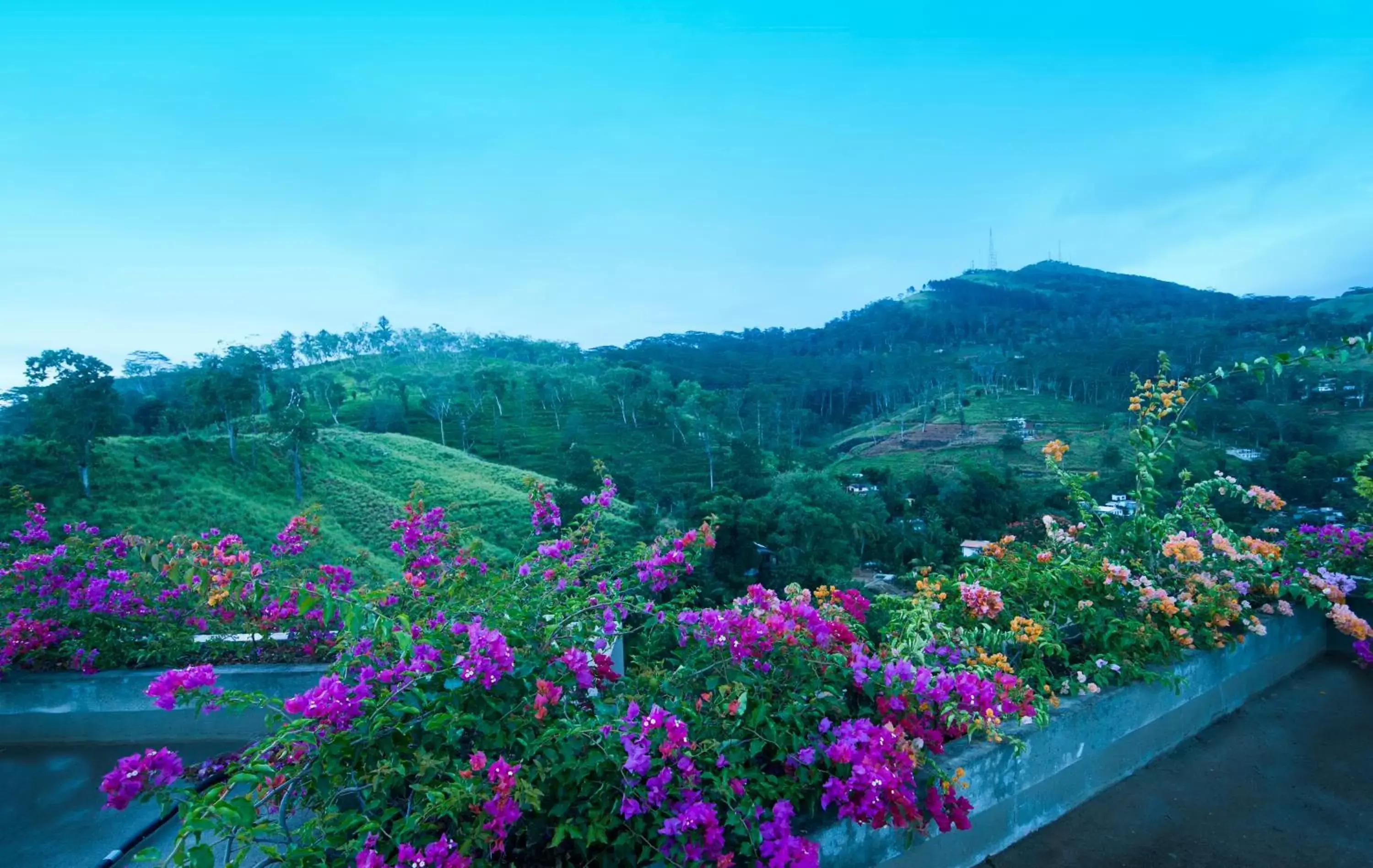 Garden view, Mountain View in Skyloft Kandy by Aaradhya
