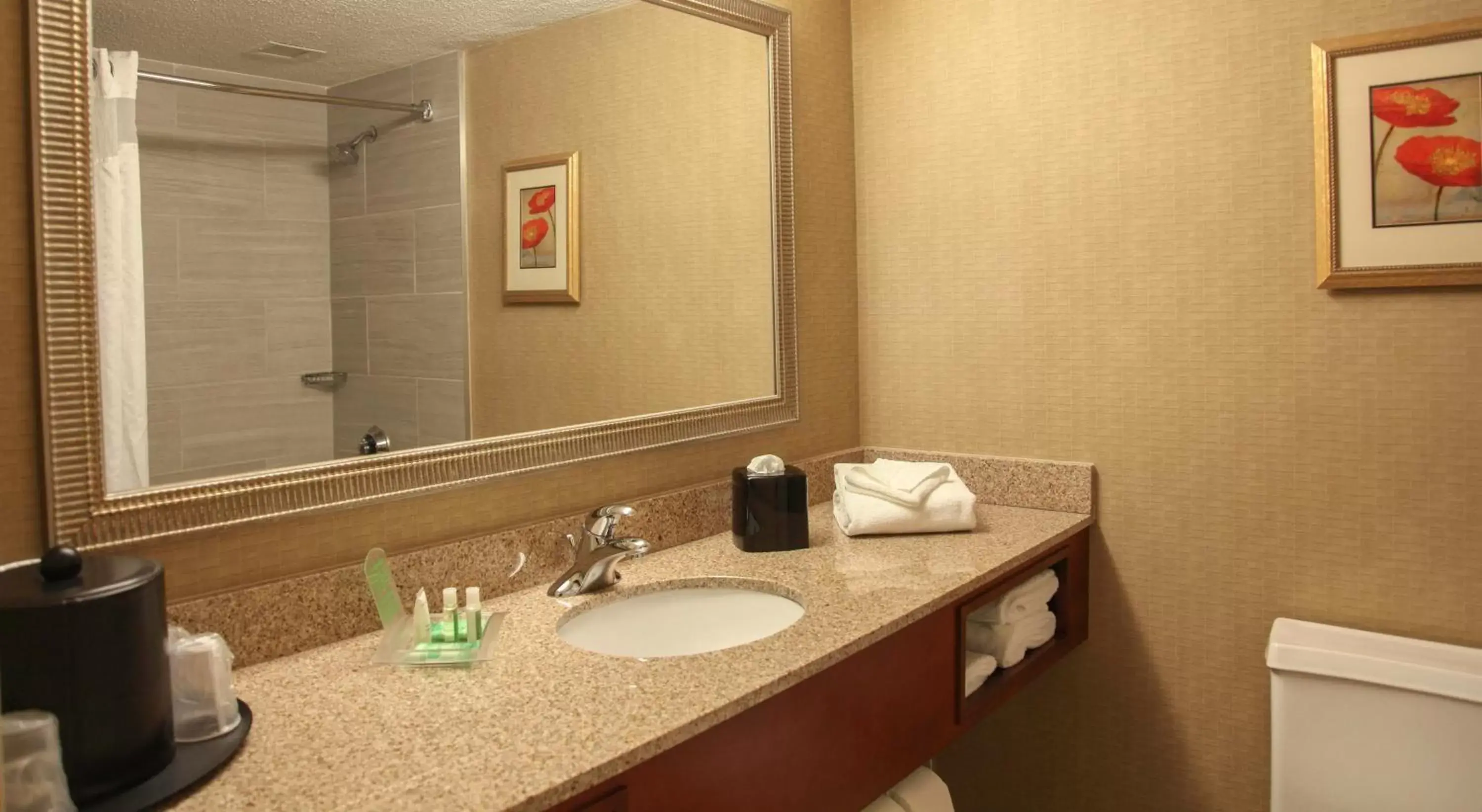 Bathroom in Holiday Inn Dayton/Fairborn I-675, an IHG Hotel