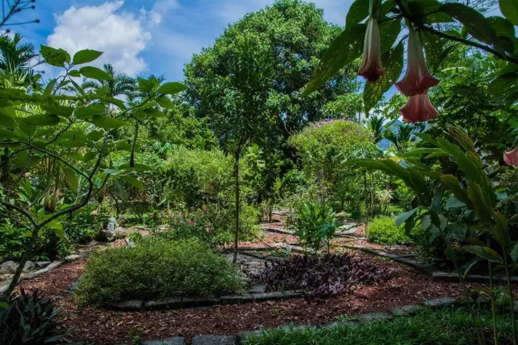 Garden in Hotel Vista del Cerro