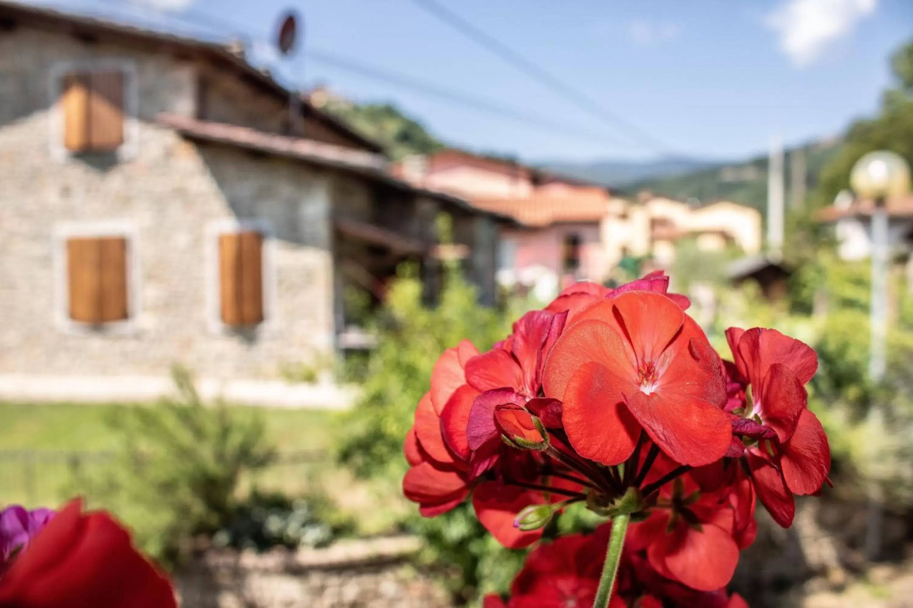 Property Building in B&B La Casa d'Artista