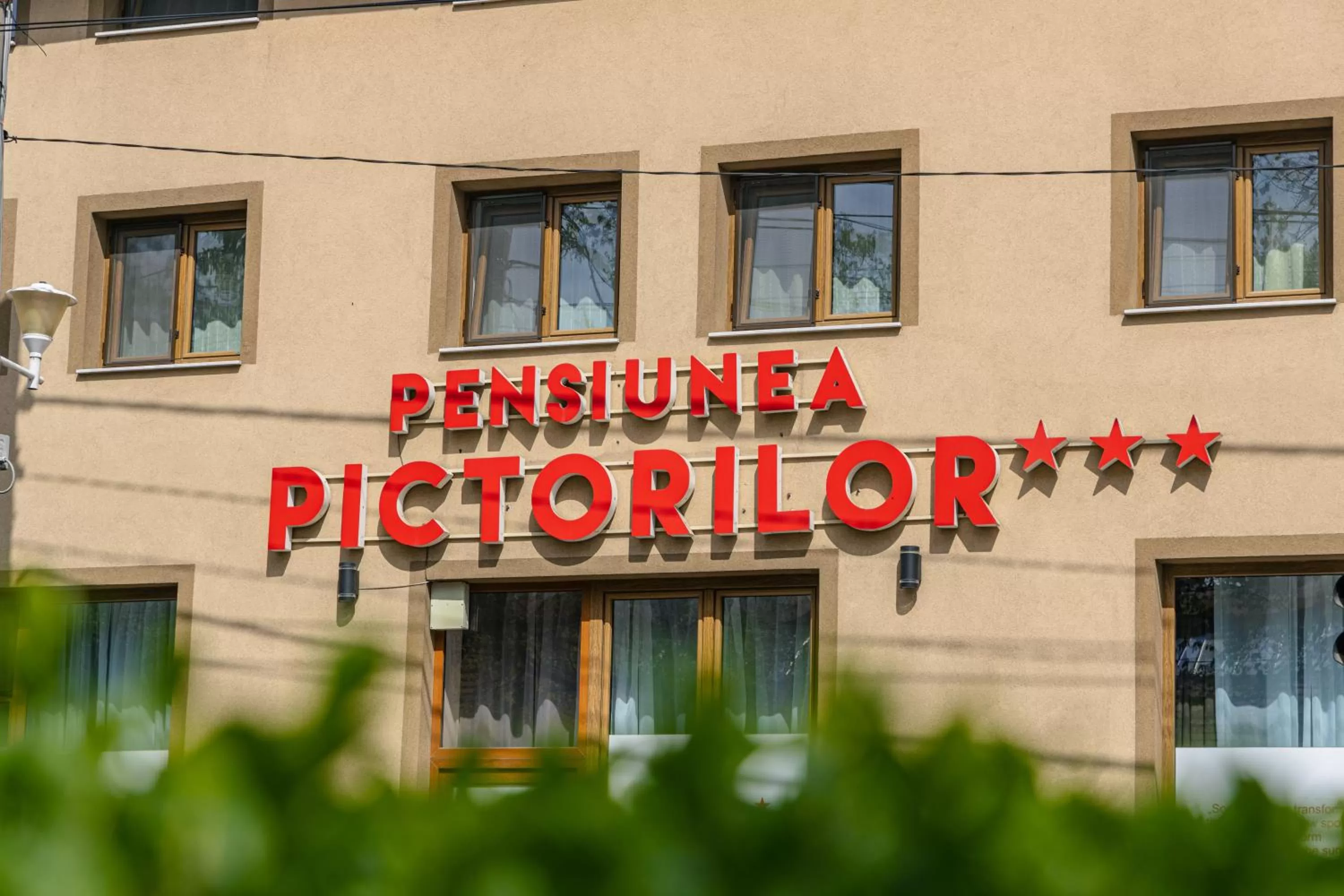 Property logo or sign in Pensiunea Pictorilor