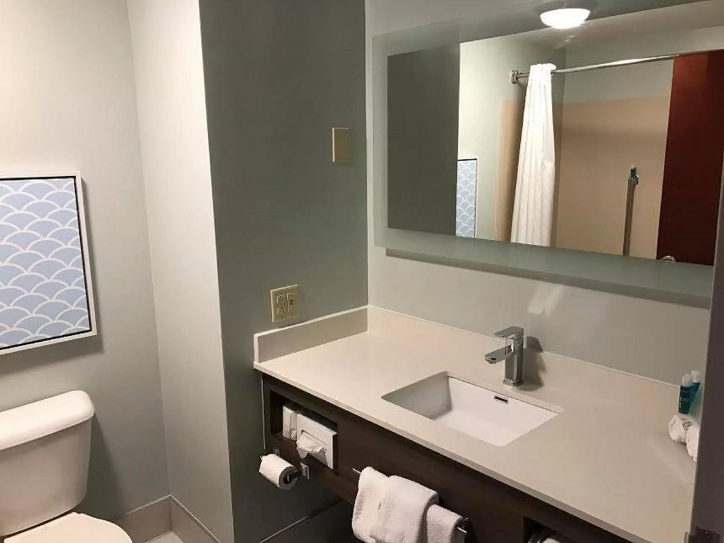 Photo of the whole room, Bathroom in Holiday Inn Express Hotel & Suites Brookville, an IHG Hotel