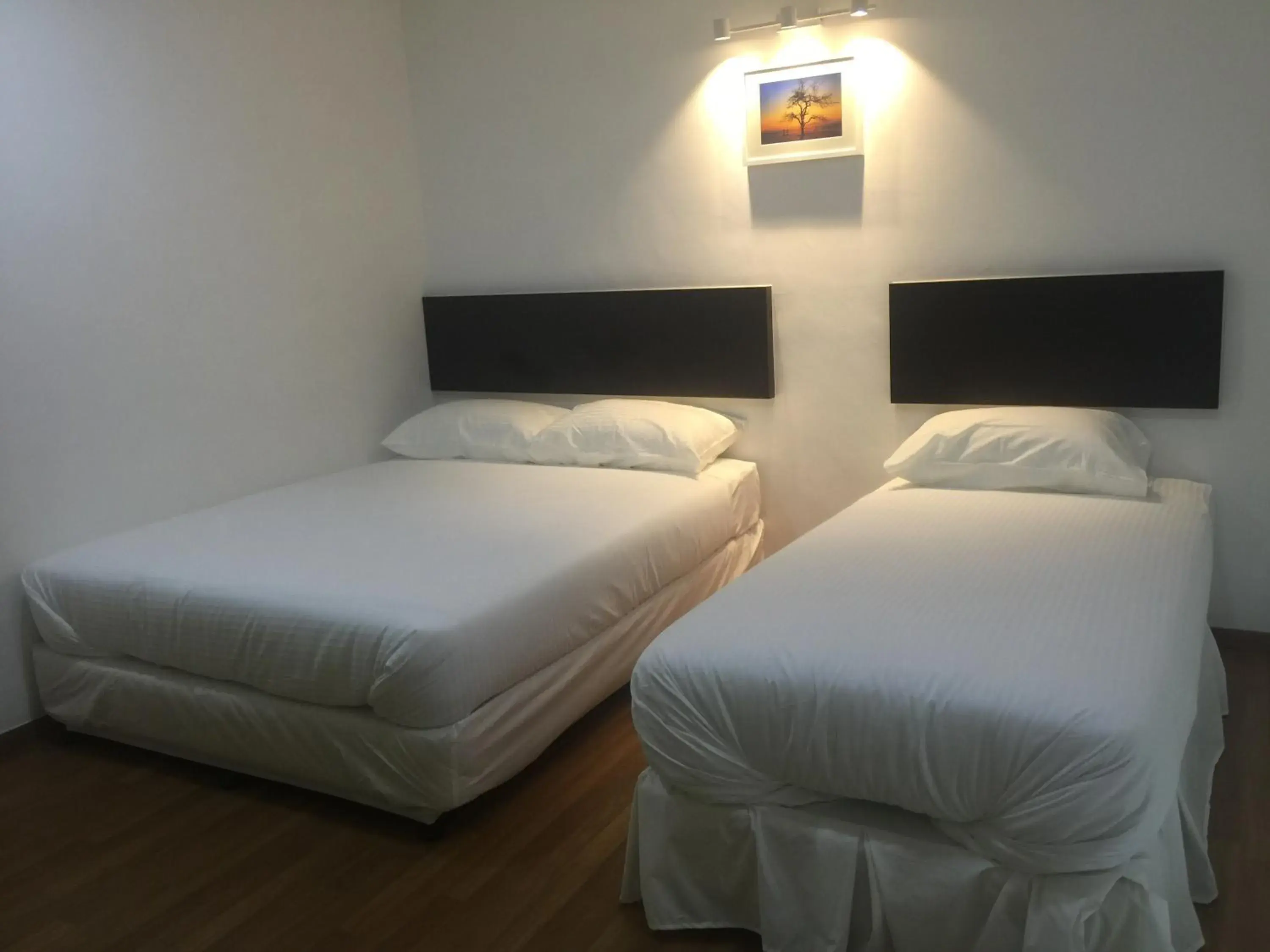 bunk bed, Room Photo in Apple Inn Hotel