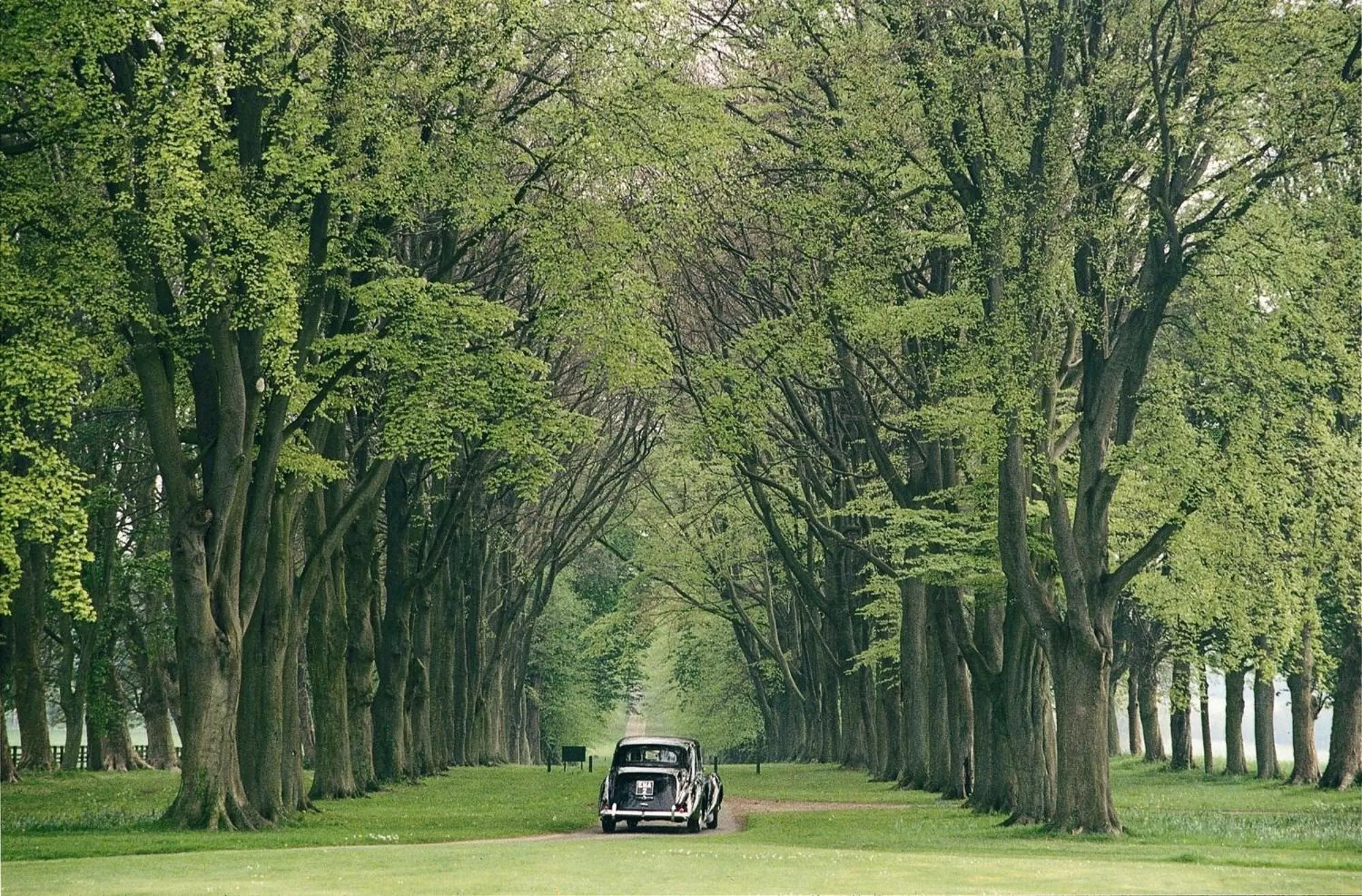 Property building in Lucknam Park, Emblems Collection