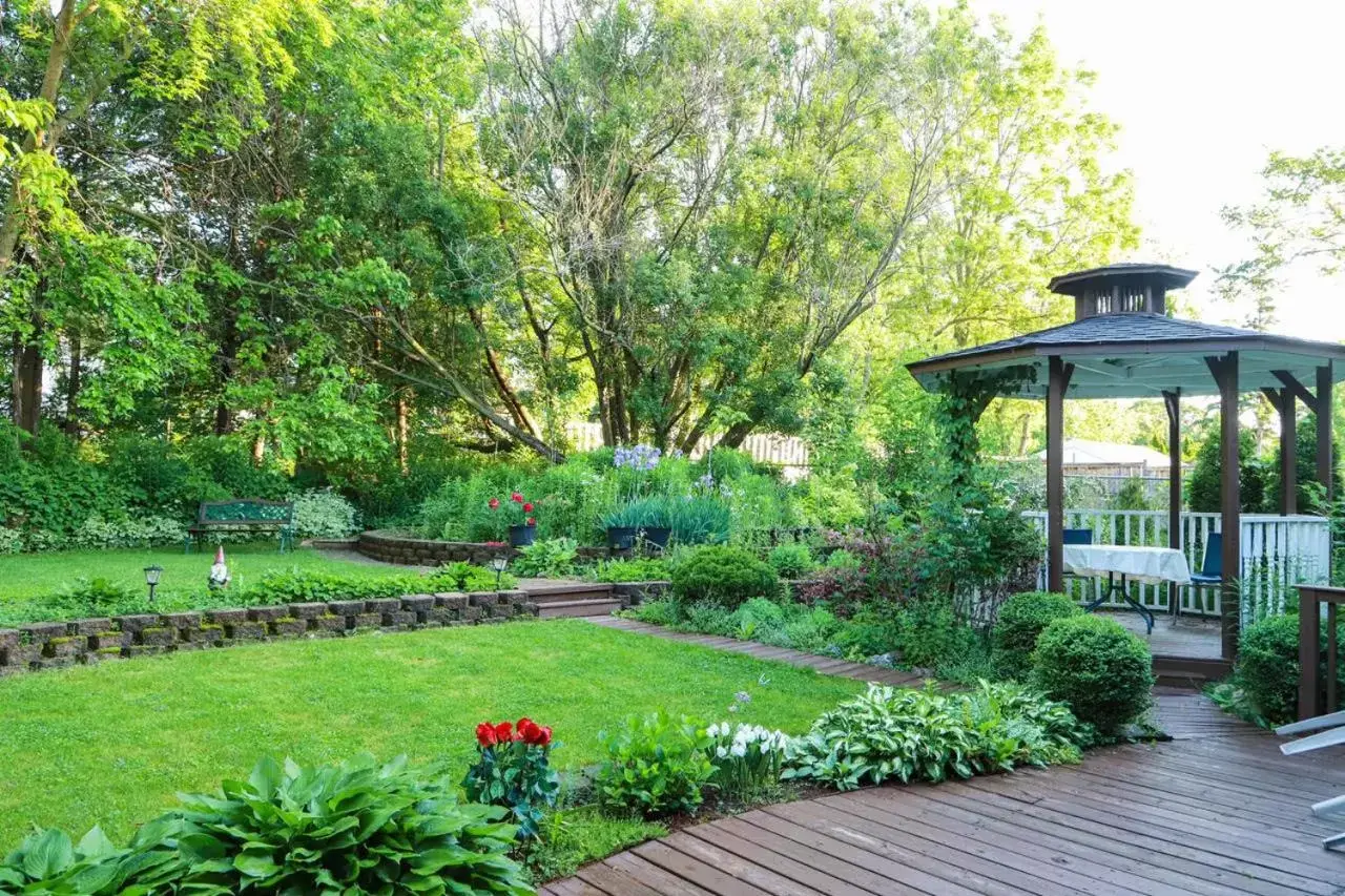 Garden view, Garden in Susan's Villa