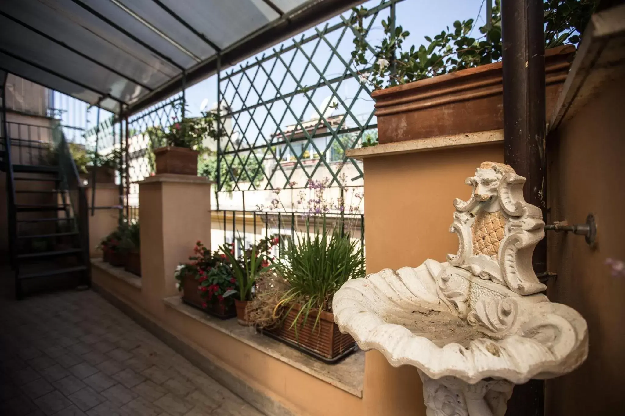 Balcony/Terrace in Hotel Grifo