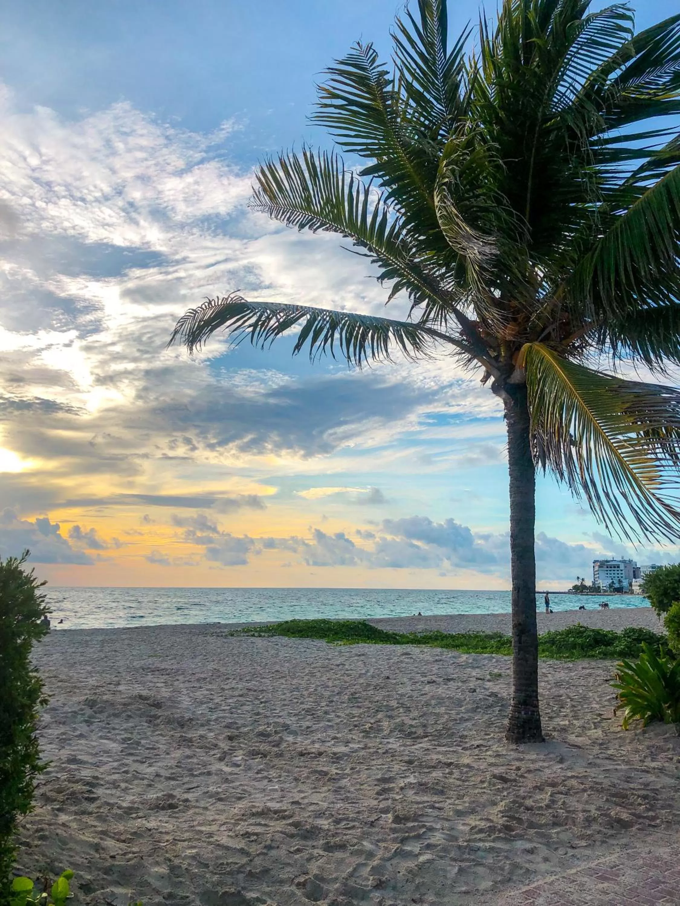 Natural landscape in Posada Nativa Bernard Place