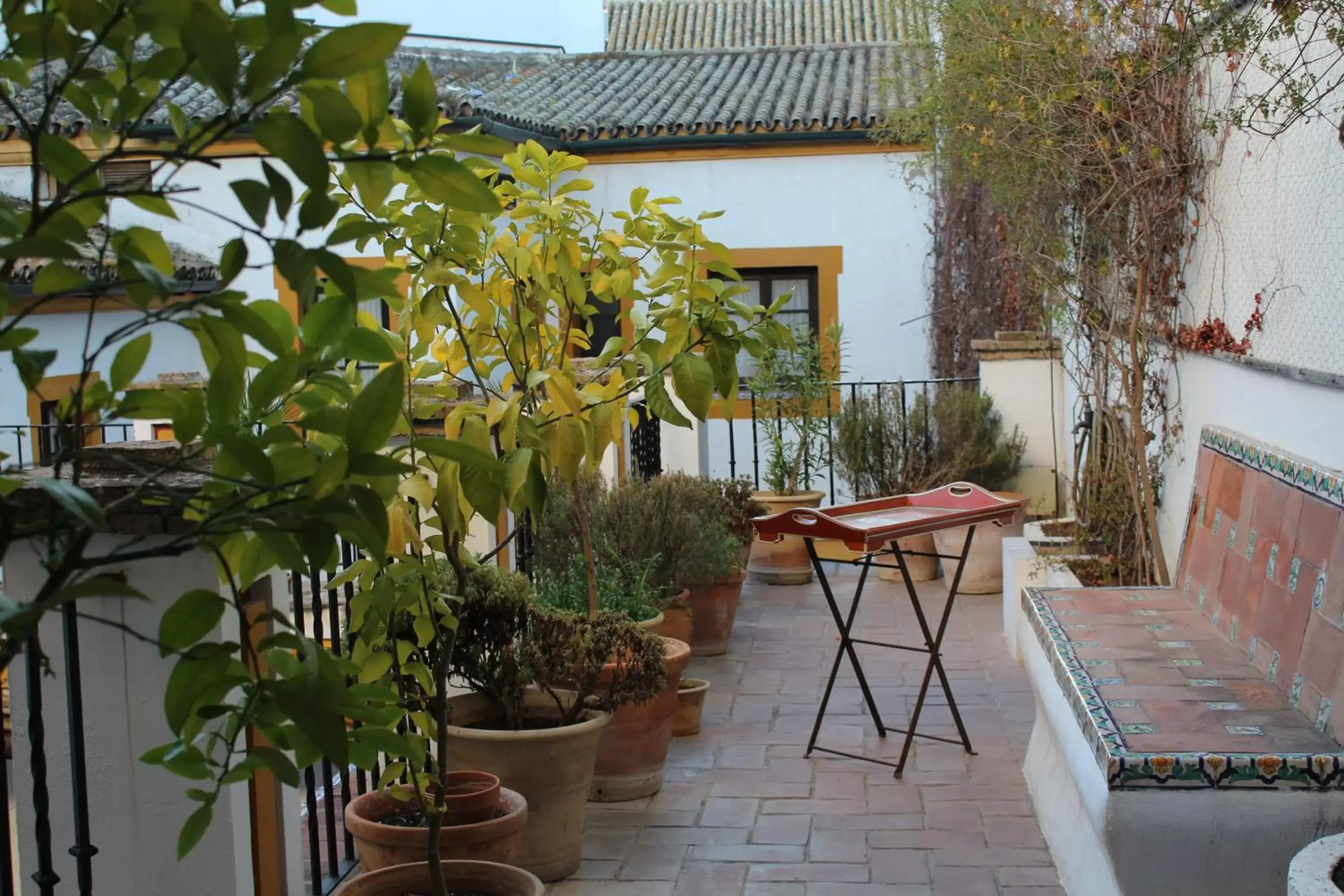 Patio, Property Building in Hotel Casa Imperial