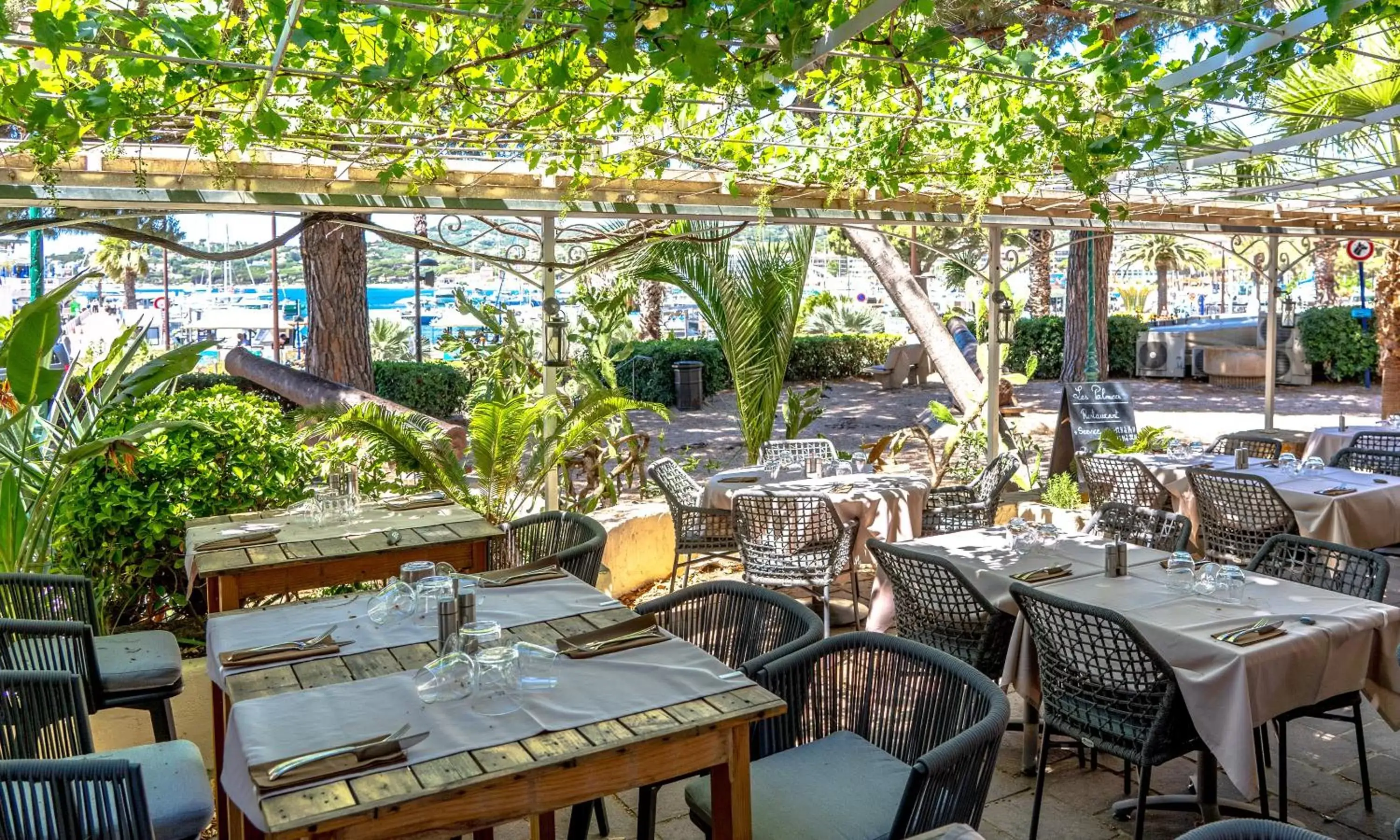 Patio, Restaurant/Places to Eat in Hotel Les Palmiers