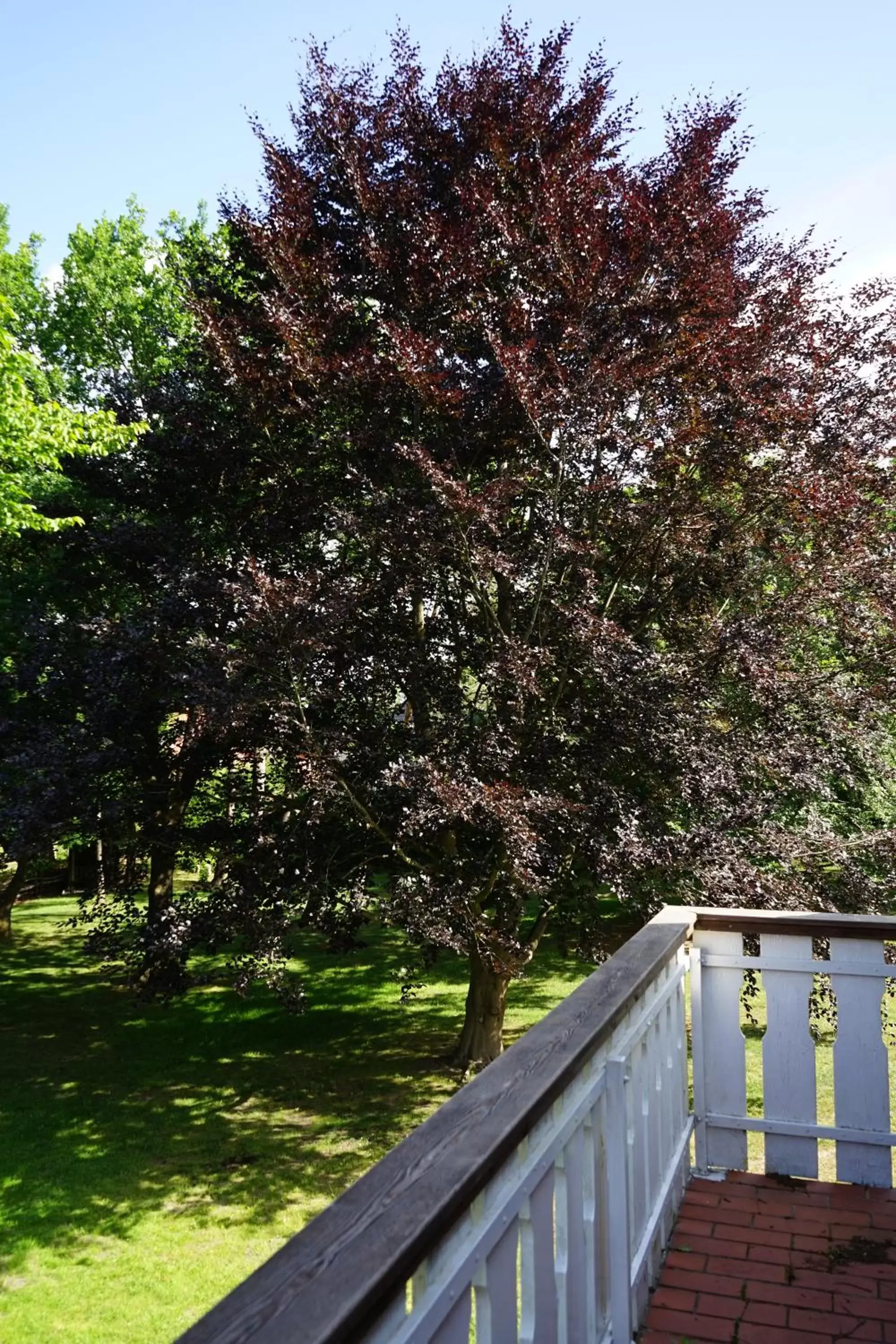 Two-Bedroom Suite in Niedersachsen Hof Two-Bedroom Suite in Niedersachsen Hof