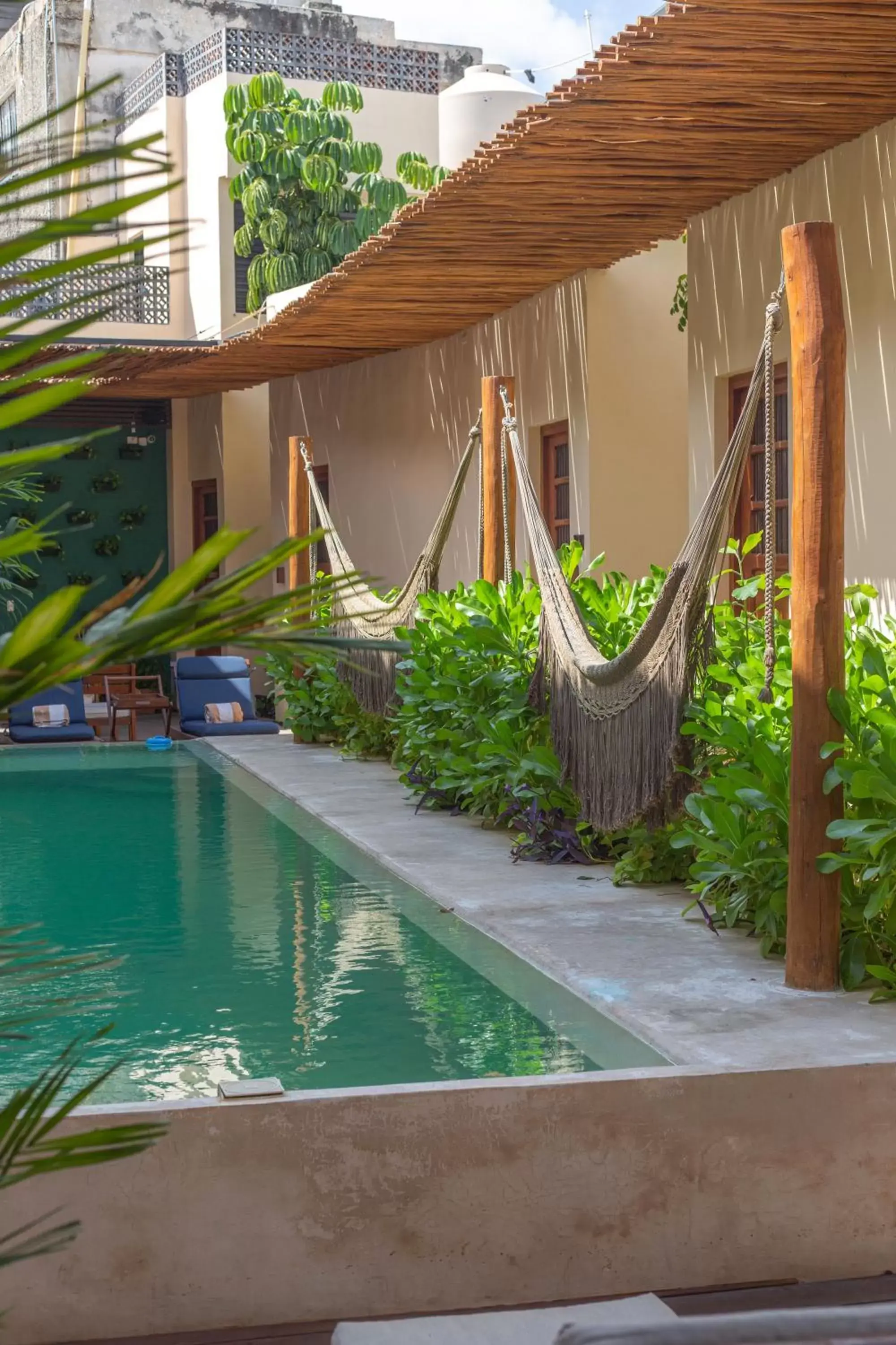 Pool view, Swimming Pool in Ya'ax Hotel Boutique