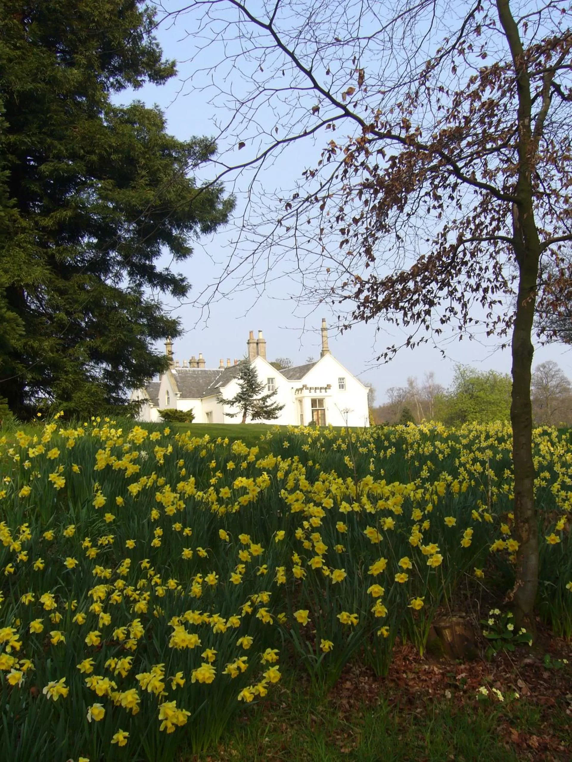 Garden view in West Plean House