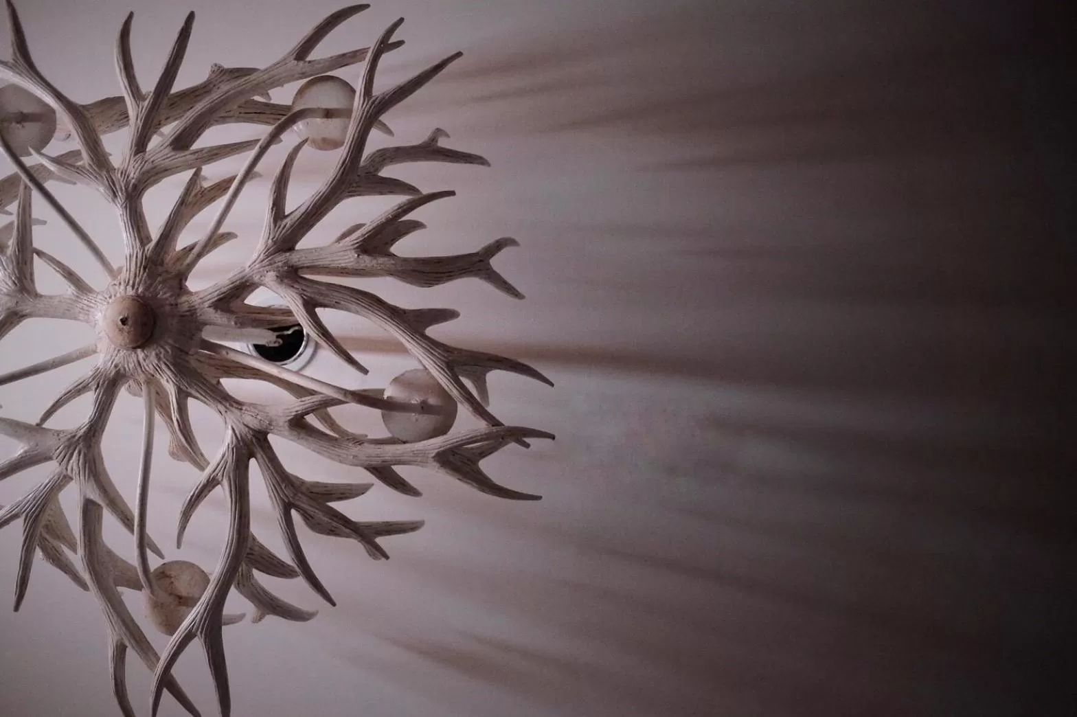 Decorative detail in Hide and Seek Boutique Hometel