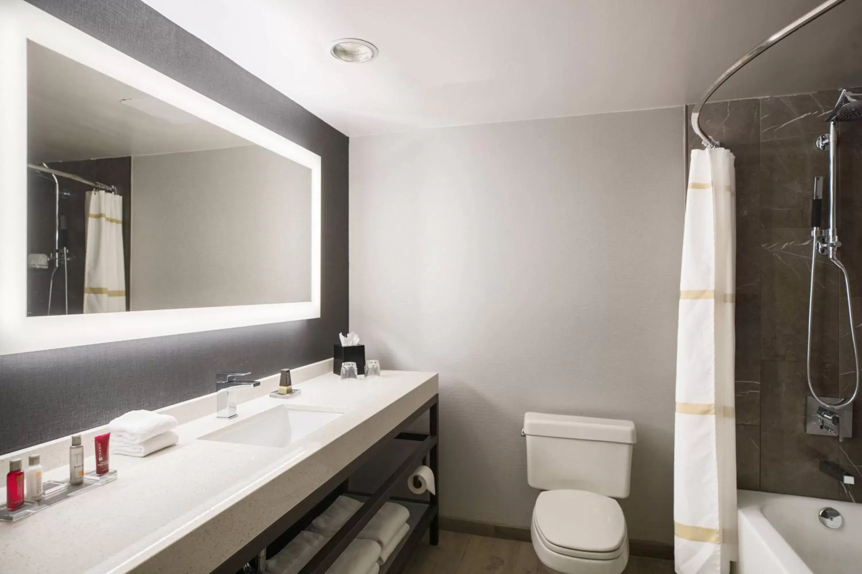 Bathroom in Courtyard by Marriott Chicago at Medical District-UIC