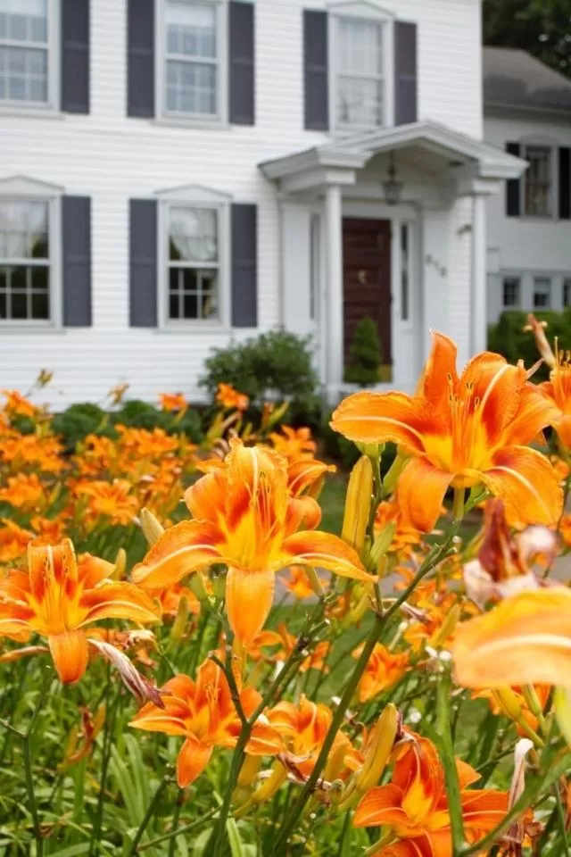 Property building in Scranton Seahorse Inn