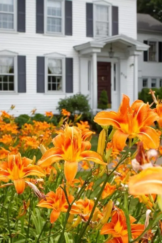 Property building in Scranton Seahorse Inn Property building in Scranton Seahorse Inn