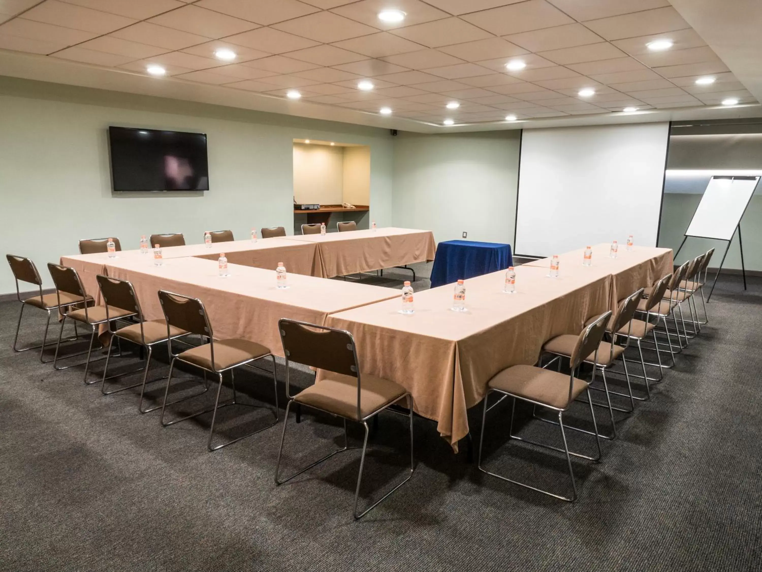 Meeting/conference room in Hotel Mercury Inn