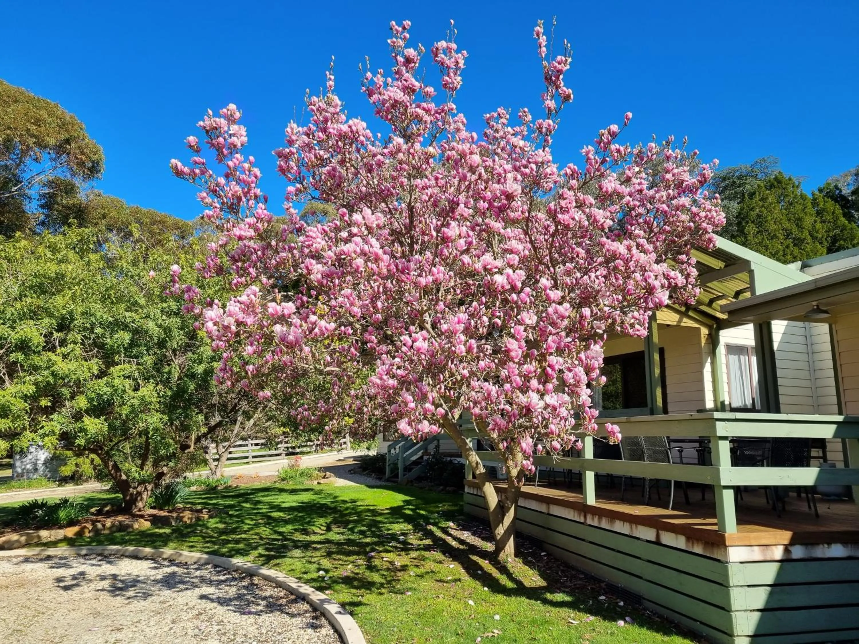 Property building in Golden Heritage Apartments Beechworth